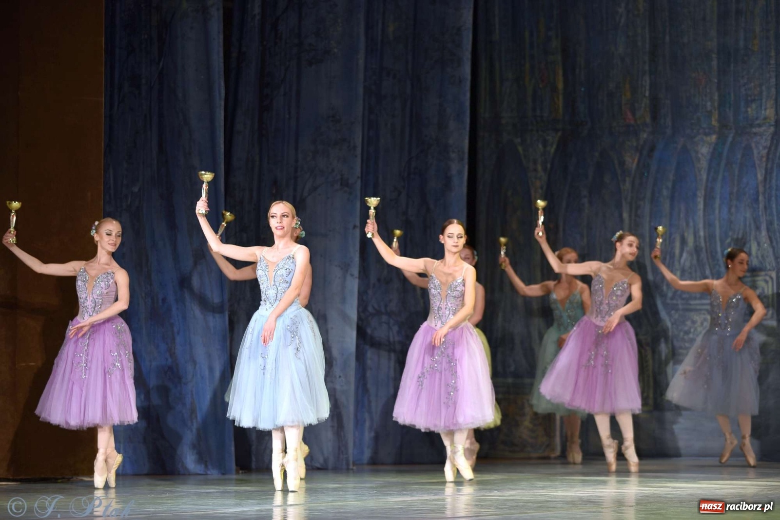 Zdjęcie w galerii na portalu naszraciborz.pl: Jezioro łabędzie. Arcydzieło Czajkowskiego na deskach RCK wiadomości z regionu