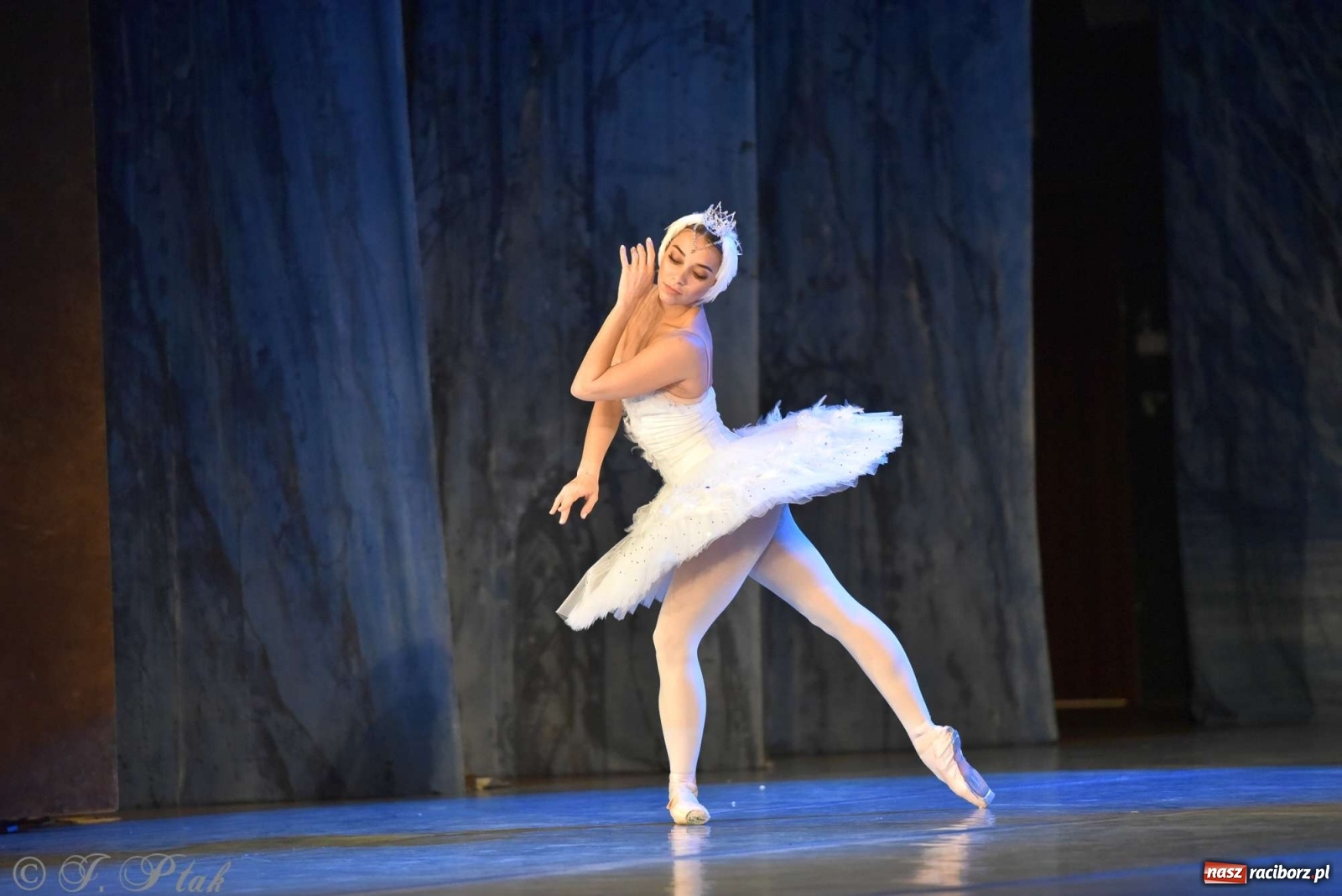 Zdjęcie w galerii na portalu naszraciborz.pl: Jezioro łabędzie. Arcydzieło Czajkowskiego na deskach RCK wiadomości z regionu