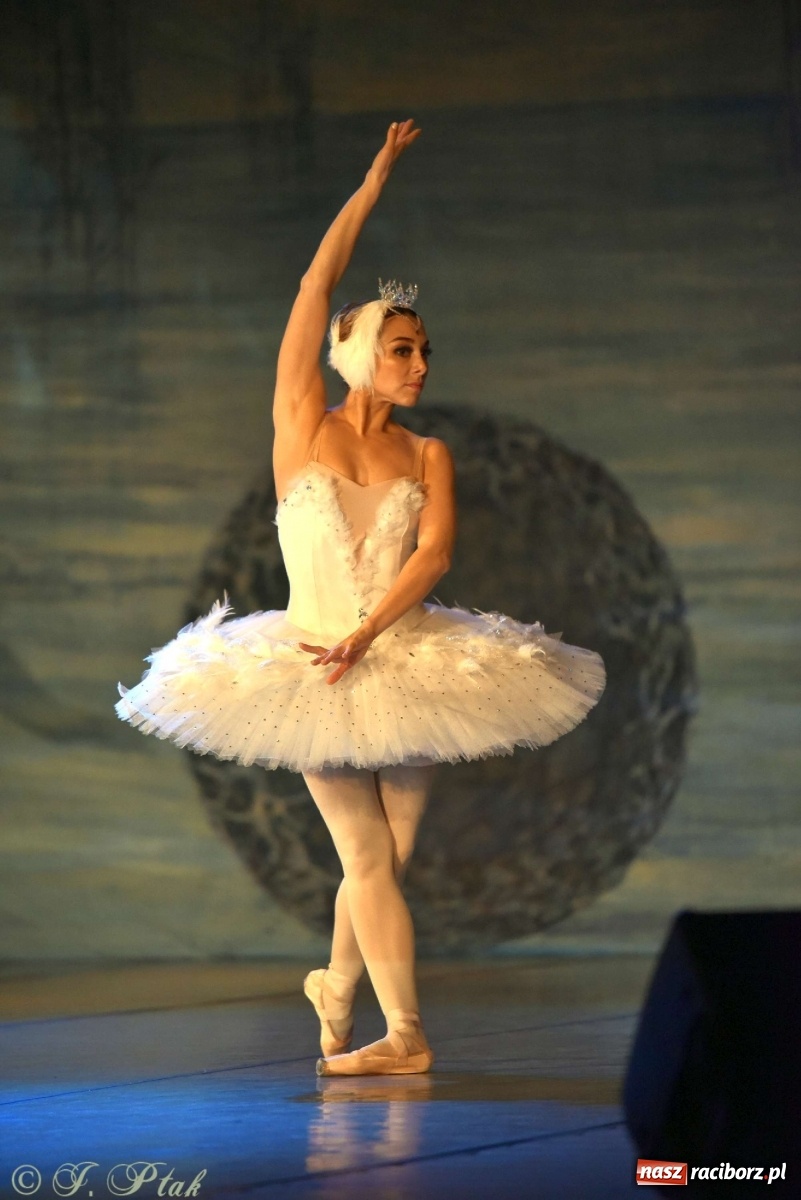 Zdjęcie w galerii na portalu naszraciborz.pl: Jezioro łabędzie. Arcydzieło Czajkowskiego na deskach RCK wiadomości z regionu