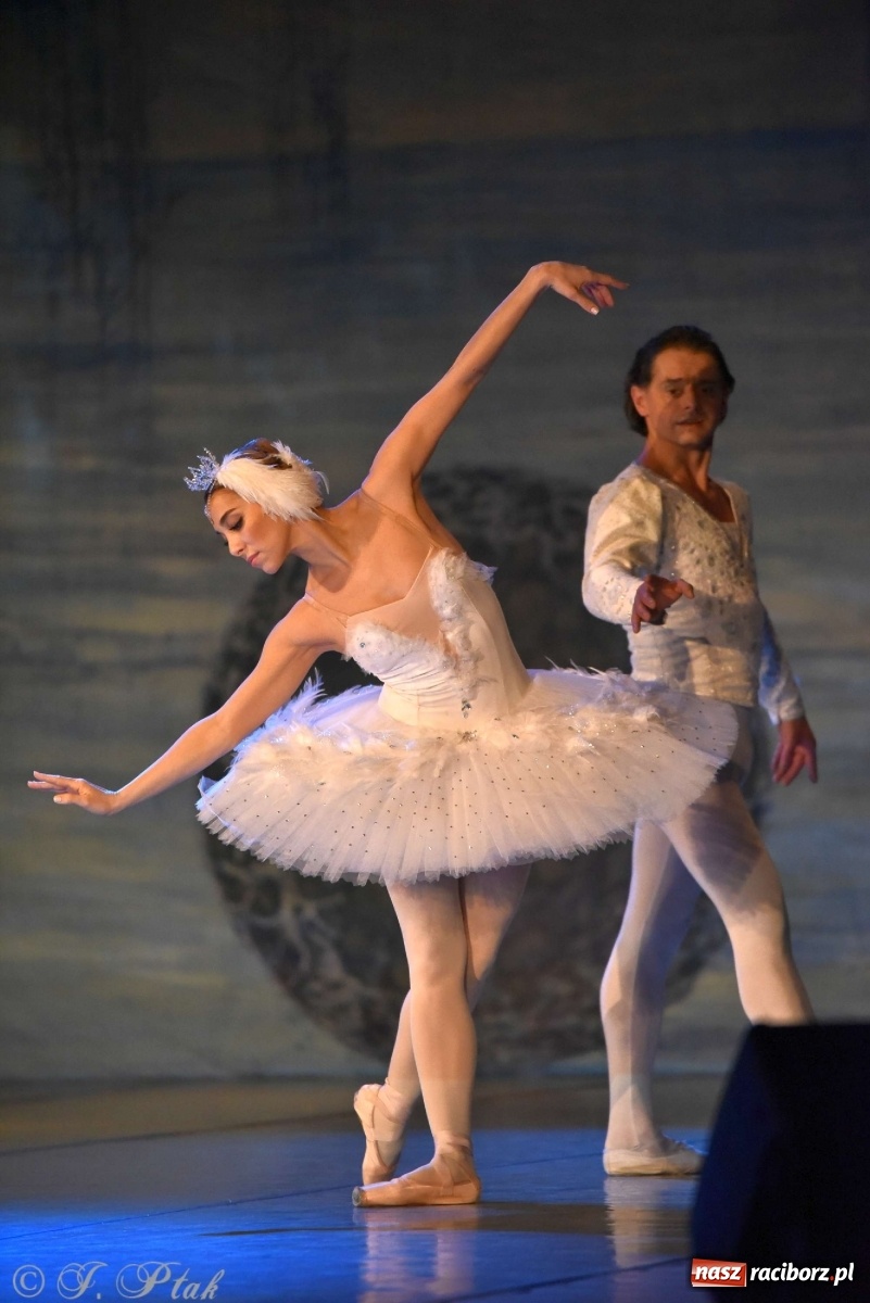 Zdjęcie w galerii na portalu naszraciborz.pl: Jezioro łabędzie. Arcydzieło Czajkowskiego na deskach RCK wiadomości z regionu