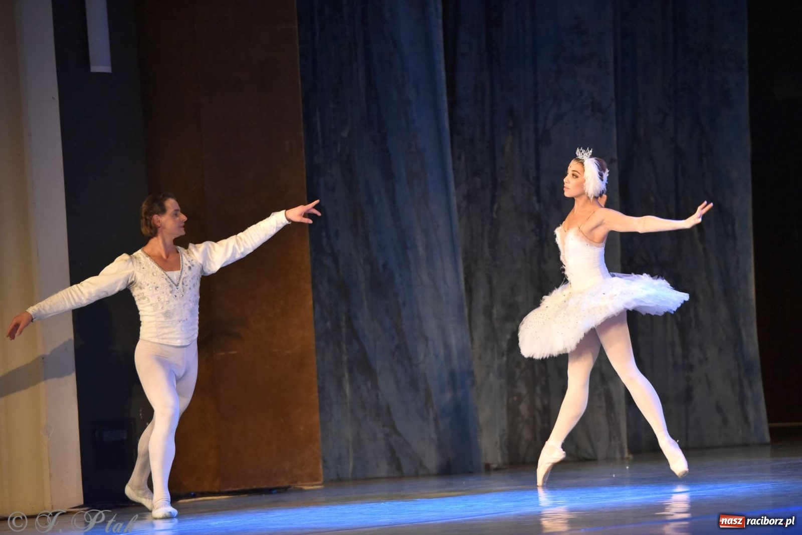 Zdjęcie w galerii na portalu naszraciborz.pl: Jezioro łabędzie. Arcydzieło Czajkowskiego na deskach RCK wiadomości z regionu