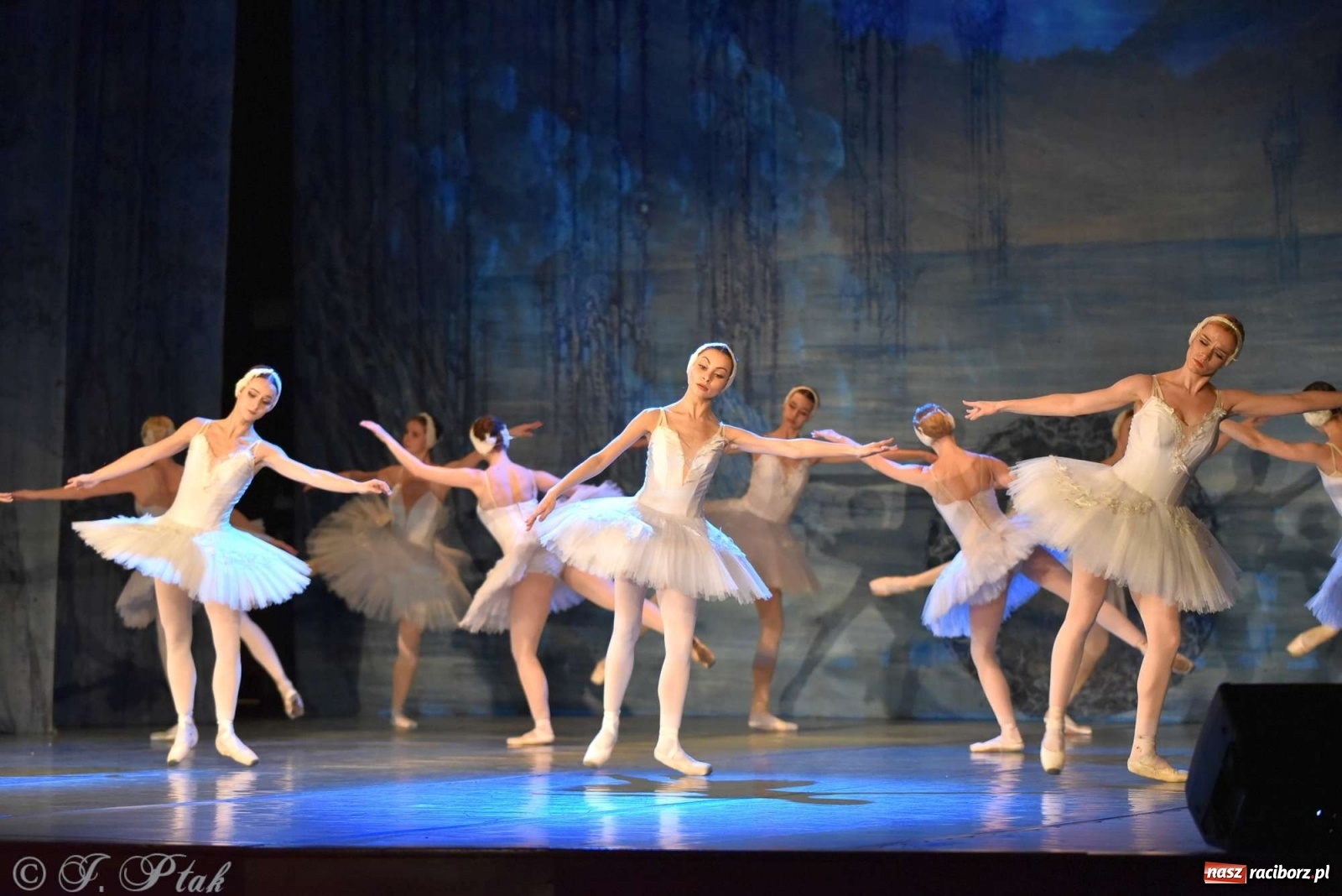 Zdjęcie w galerii na portalu naszraciborz.pl: Jezioro łabędzie. Arcydzieło Czajkowskiego na deskach RCK wiadomości z regionu