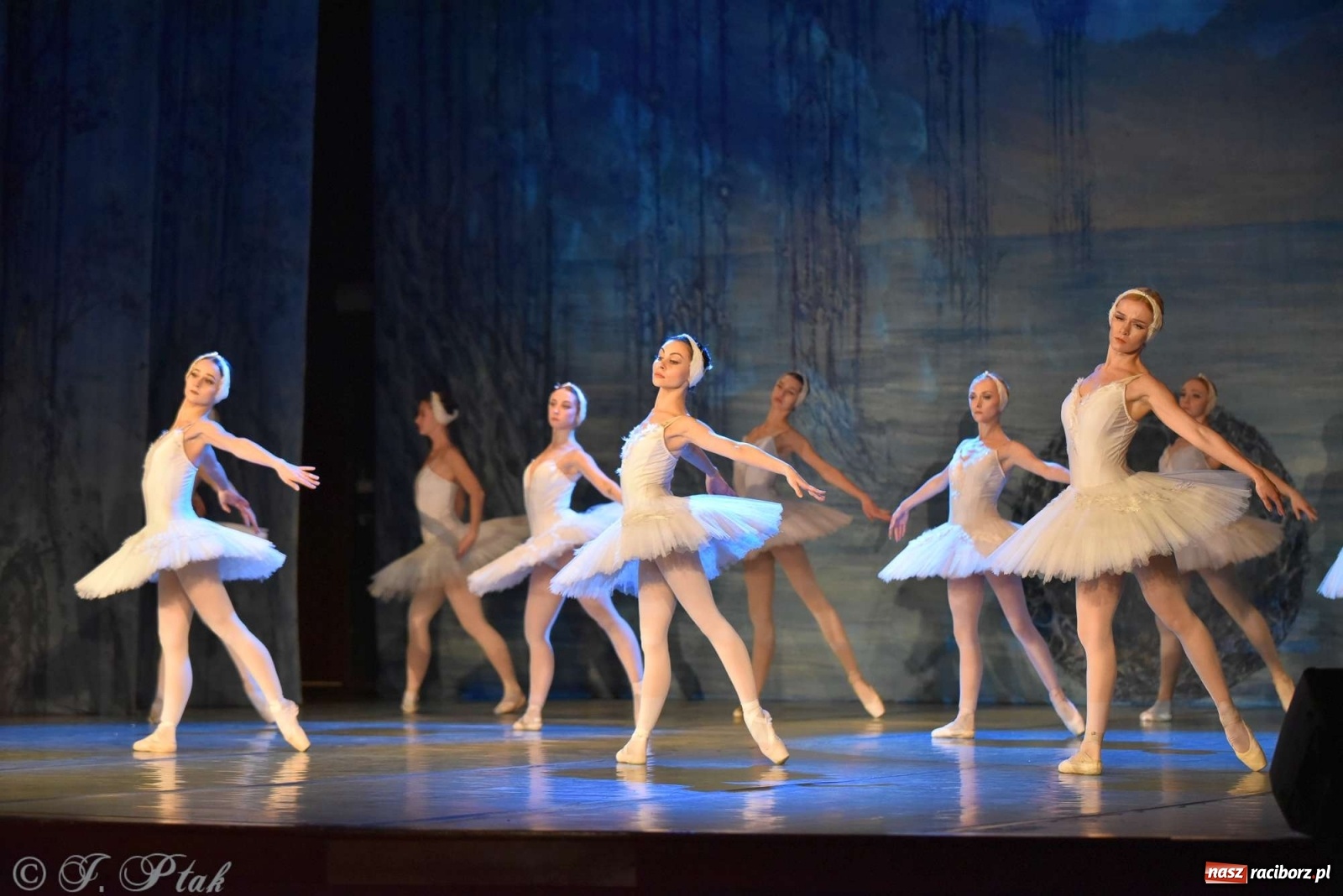 Zdjęcie w galerii na portalu naszraciborz.pl: Jezioro łabędzie. Arcydzieło Czajkowskiego na deskach RCK wiadomości z regionu