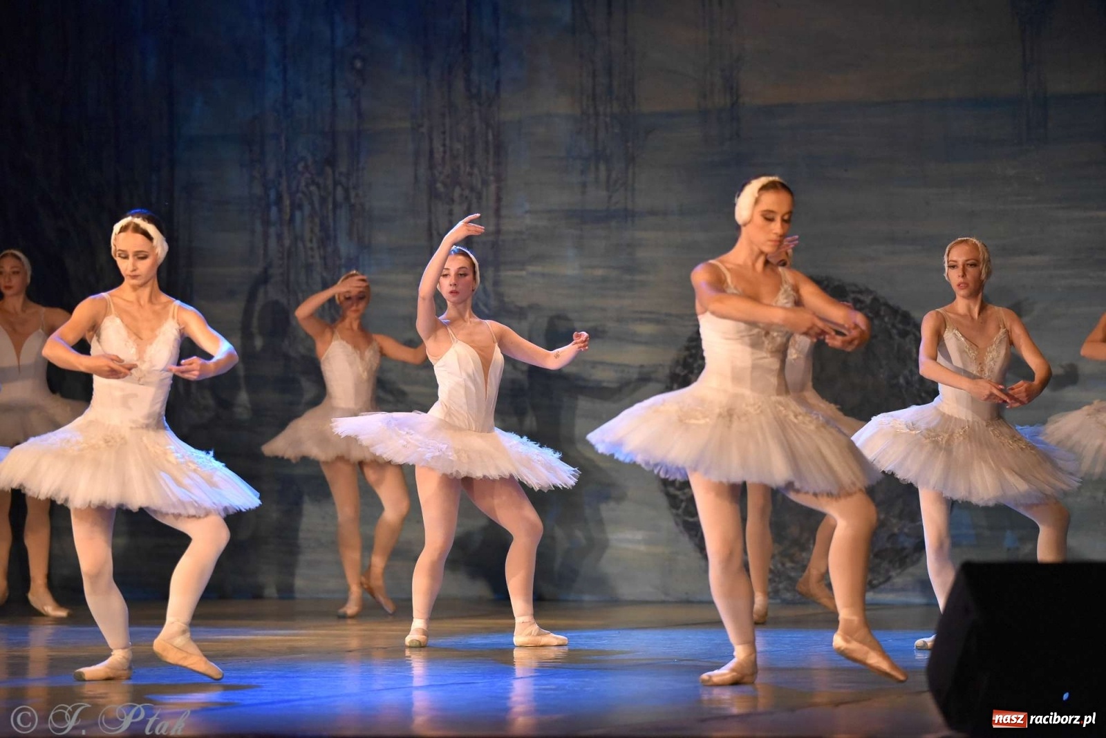 Zdjęcie w galerii na portalu naszraciborz.pl: Jezioro łabędzie. Arcydzieło Czajkowskiego na deskach RCK wiadomości z regionu