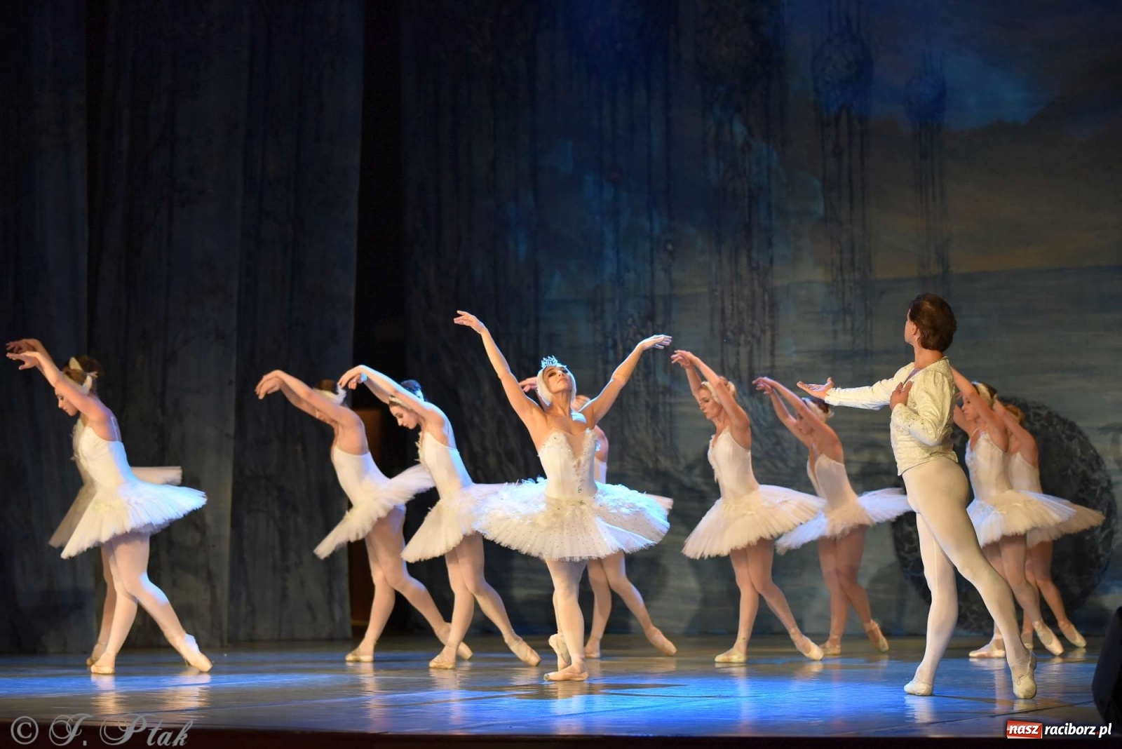 Zdjęcie w galerii na portalu naszraciborz.pl: Jezioro łabędzie. Arcydzieło Czajkowskiego na deskach RCK wiadomości z regionu