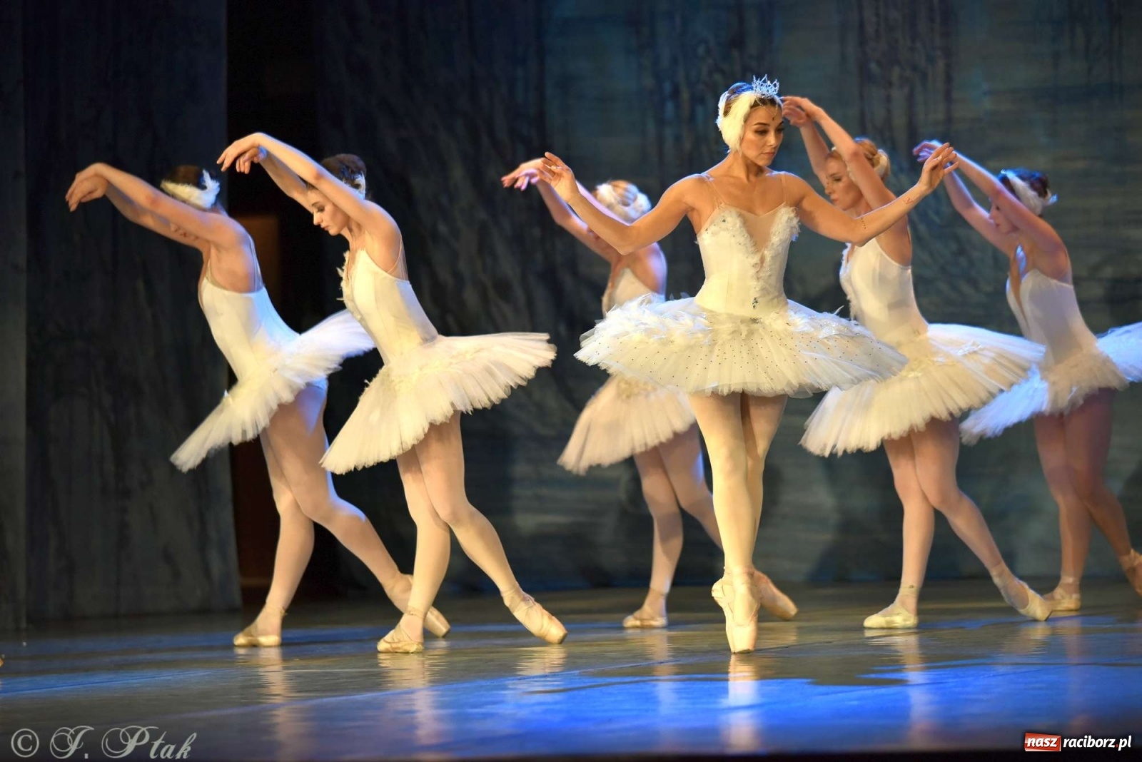 Zdjęcie w galerii na portalu naszraciborz.pl: Jezioro łabędzie. Arcydzieło Czajkowskiego na deskach RCK wiadomości z regionu