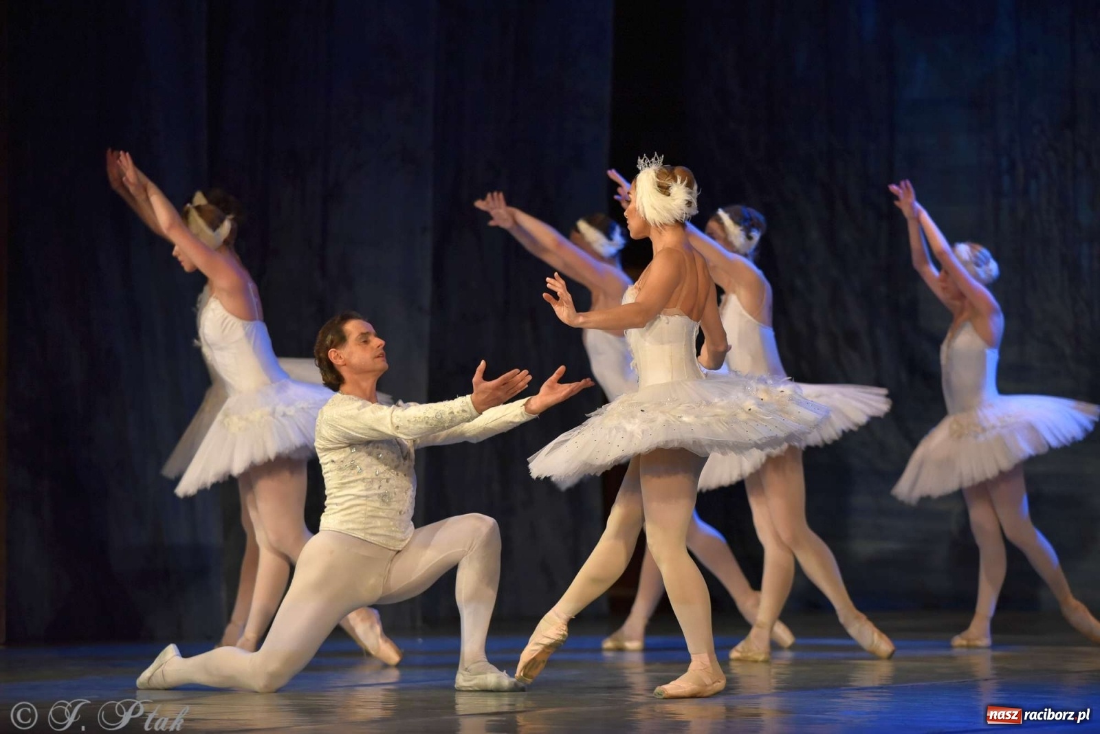 Zdjęcie w galerii na portalu naszraciborz.pl: Jezioro łabędzie. Arcydzieło Czajkowskiego na deskach RCK wiadomości z regionu