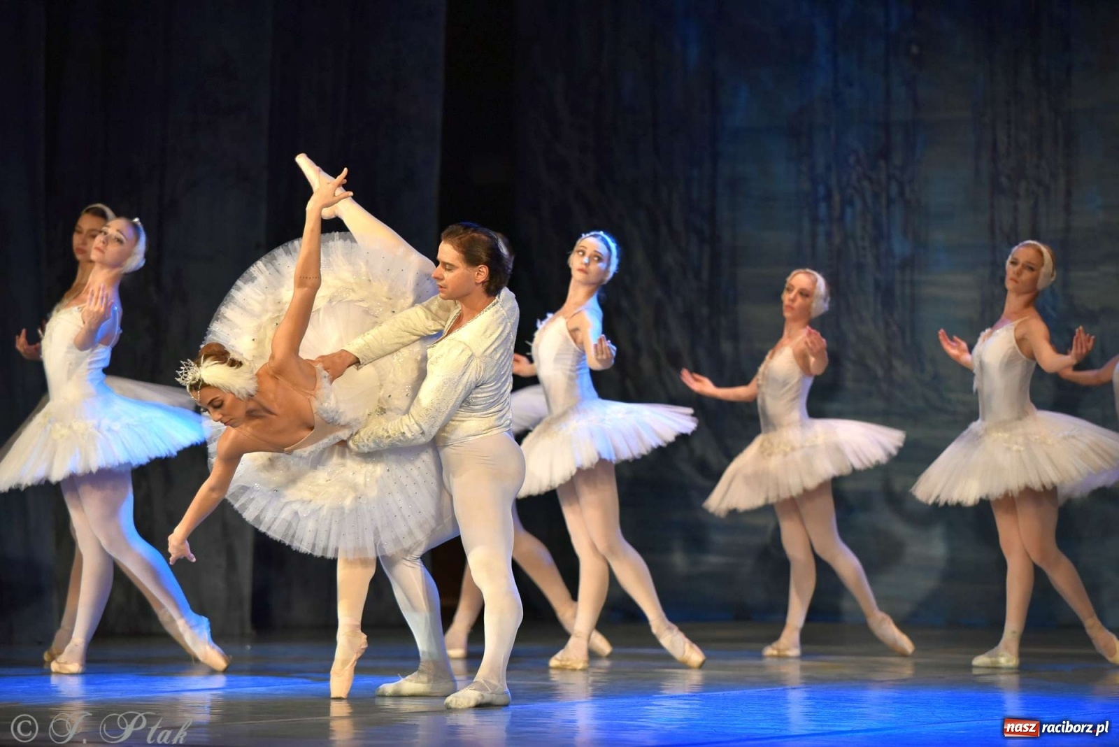 Zdjęcie w galerii na portalu naszraciborz.pl: Jezioro łabędzie. Arcydzieło Czajkowskiego na deskach RCK wiadomości z regionu