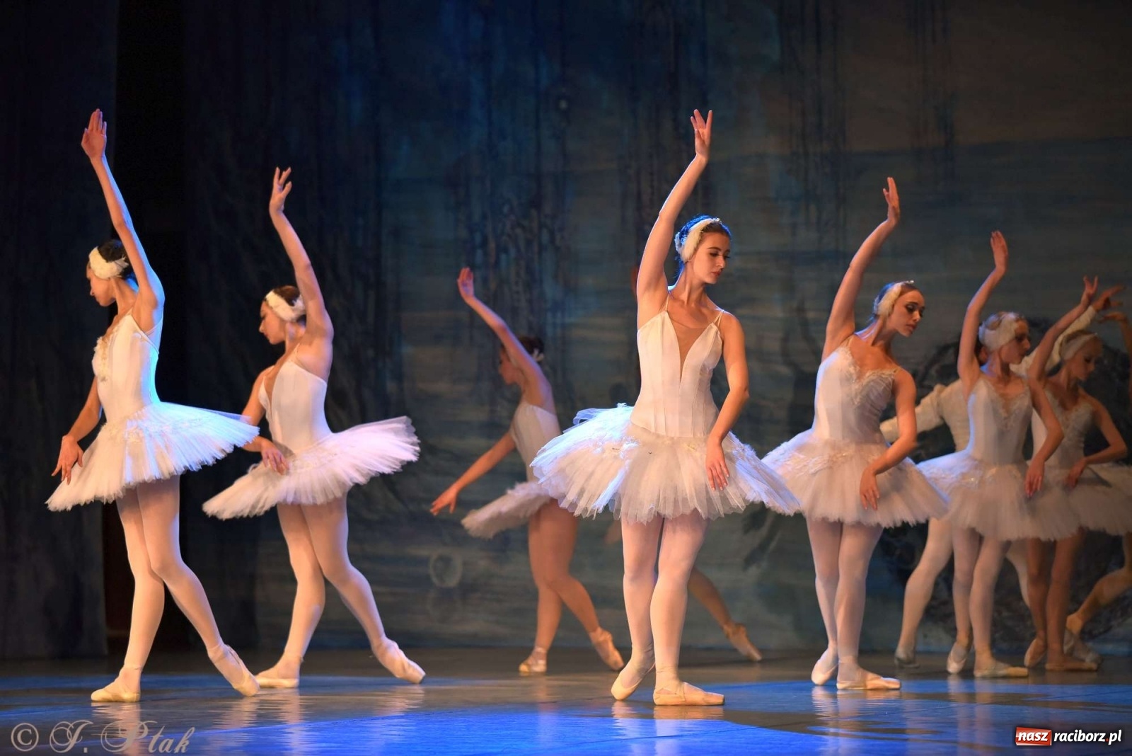 Zdjęcie w galerii na portalu naszraciborz.pl: Jezioro łabędzie. Arcydzieło Czajkowskiego na deskach RCK wiadomości z regionu