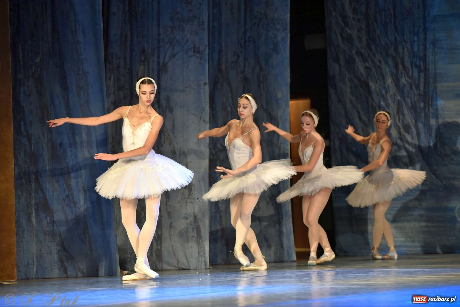 Zdjęcie w galerii na portalu naszraciborz.pl: Jezioro łabędzie. Arcydzieło Czajkowskiego na deskach RCK wiadomości z regionu