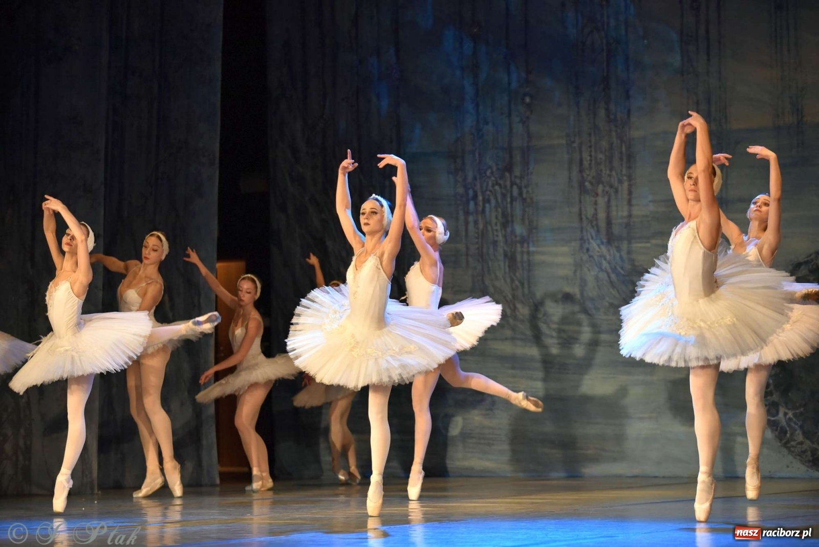 Zdjęcie w galerii na portalu naszraciborz.pl: Jezioro łabędzie. Arcydzieło Czajkowskiego na deskach RCK wiadomości z regionu