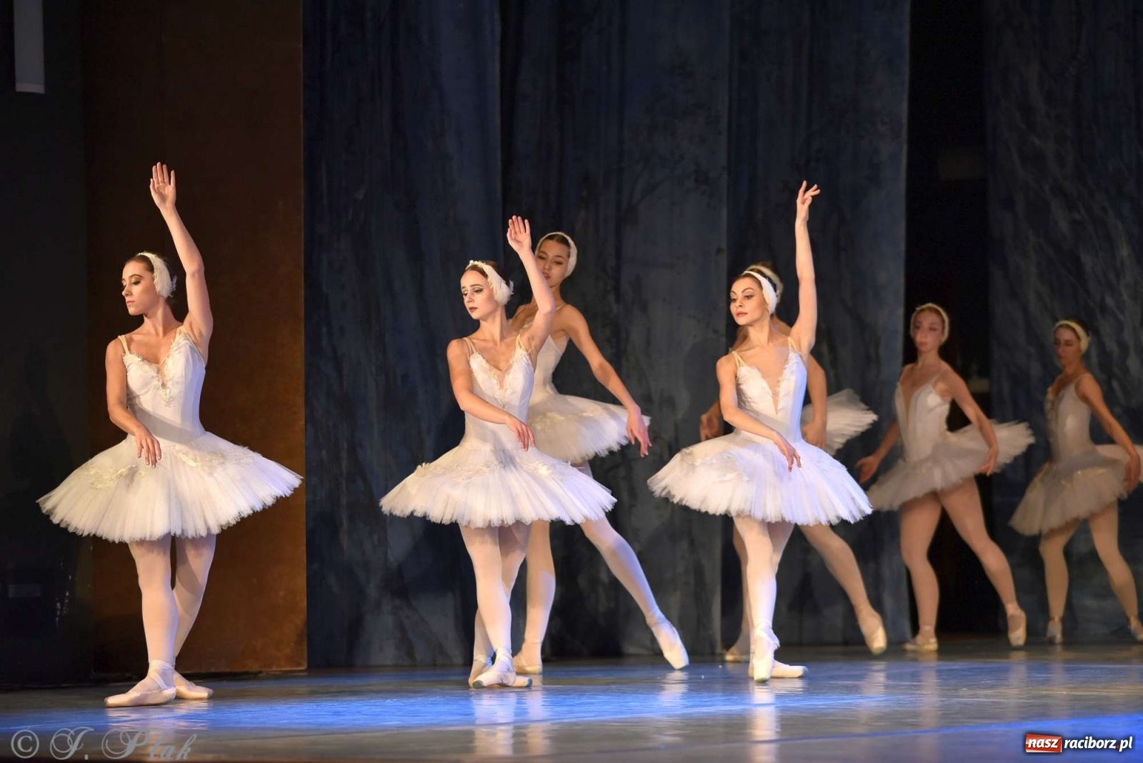 Zdjęcie w galerii na portalu naszraciborz.pl: Jezioro łabędzie. Arcydzieło Czajkowskiego na deskach RCK wiadomości z regionu