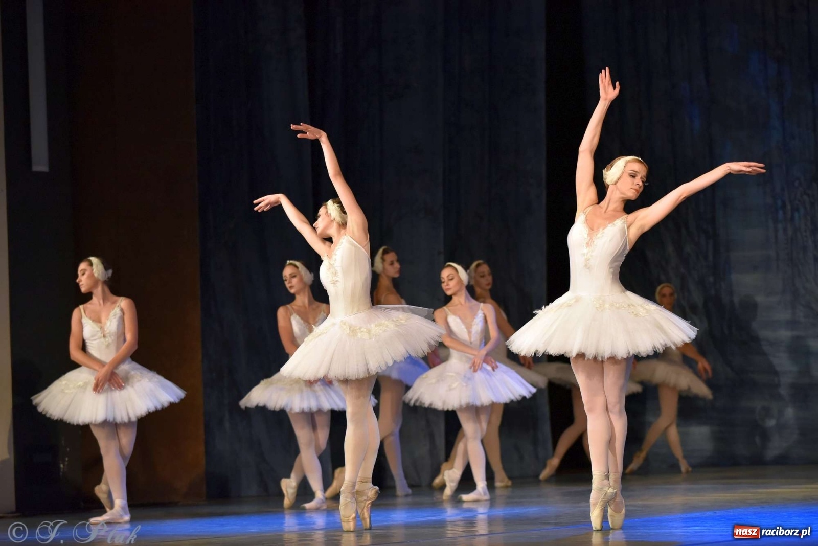 Zdjęcie w galerii na portalu naszraciborz.pl: Jezioro łabędzie. Arcydzieło Czajkowskiego na deskach RCK wiadomości z regionu