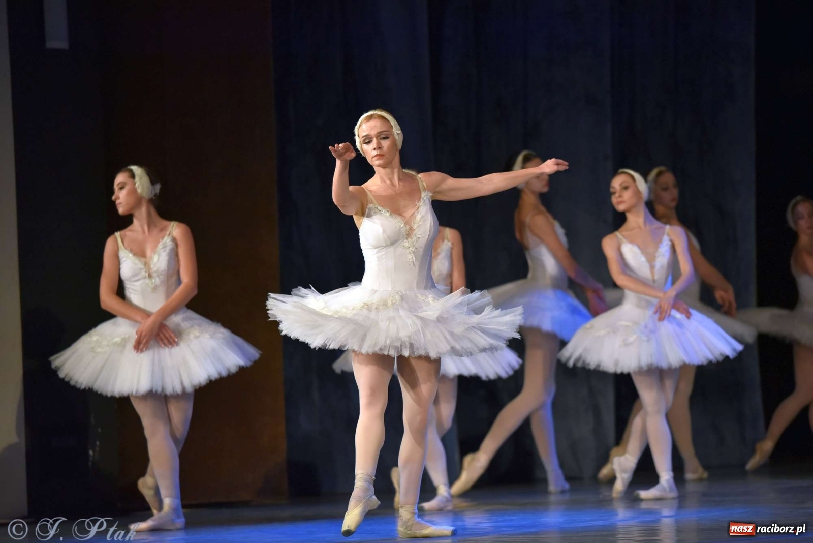 Zdjęcie w galerii na portalu naszraciborz.pl: Jezioro łabędzie. Arcydzieło Czajkowskiego na deskach RCK wiadomości z regionu