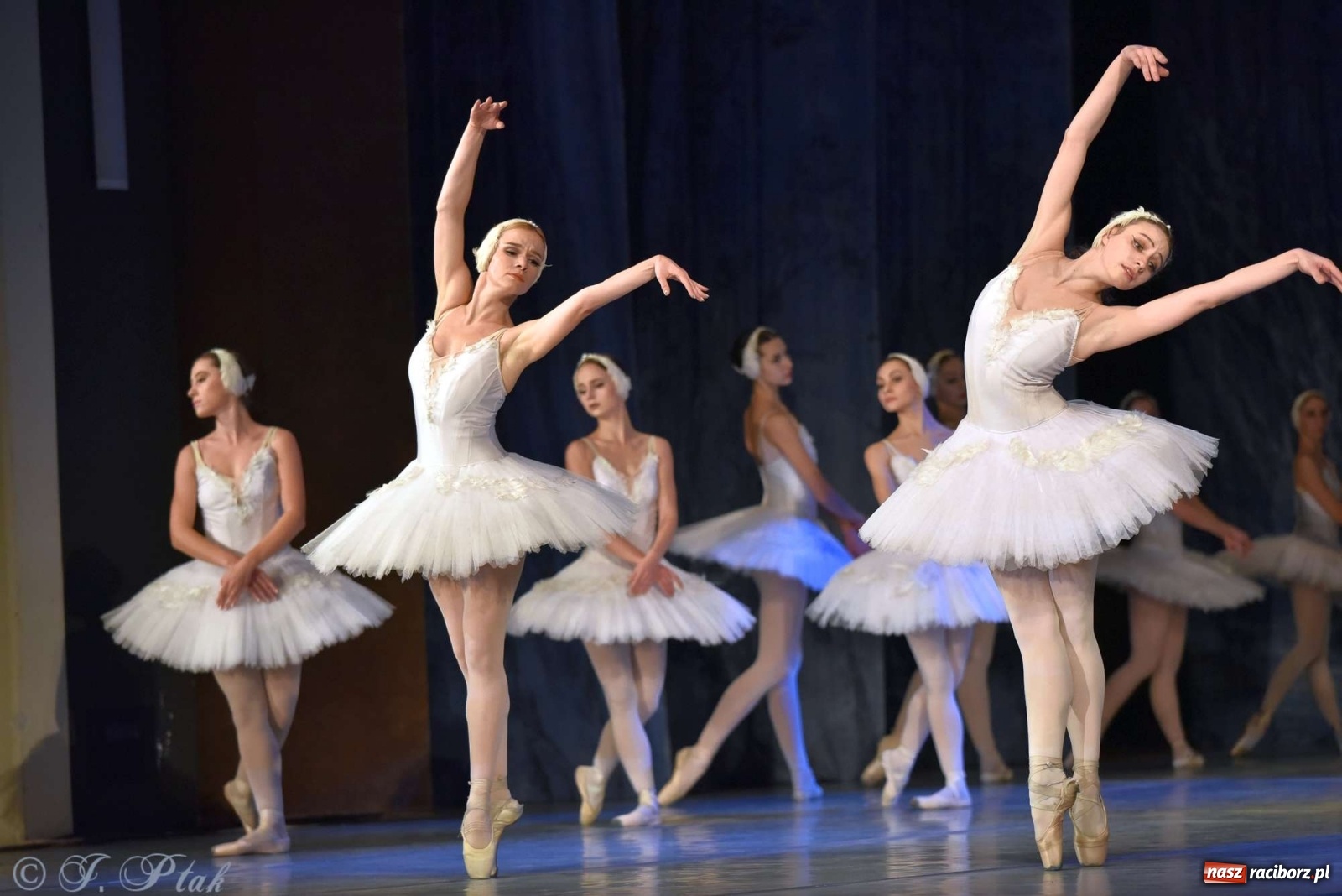 Zdjęcie w galerii na portalu naszraciborz.pl: Jezioro łabędzie. Arcydzieło Czajkowskiego na deskach RCK wiadomości z regionu