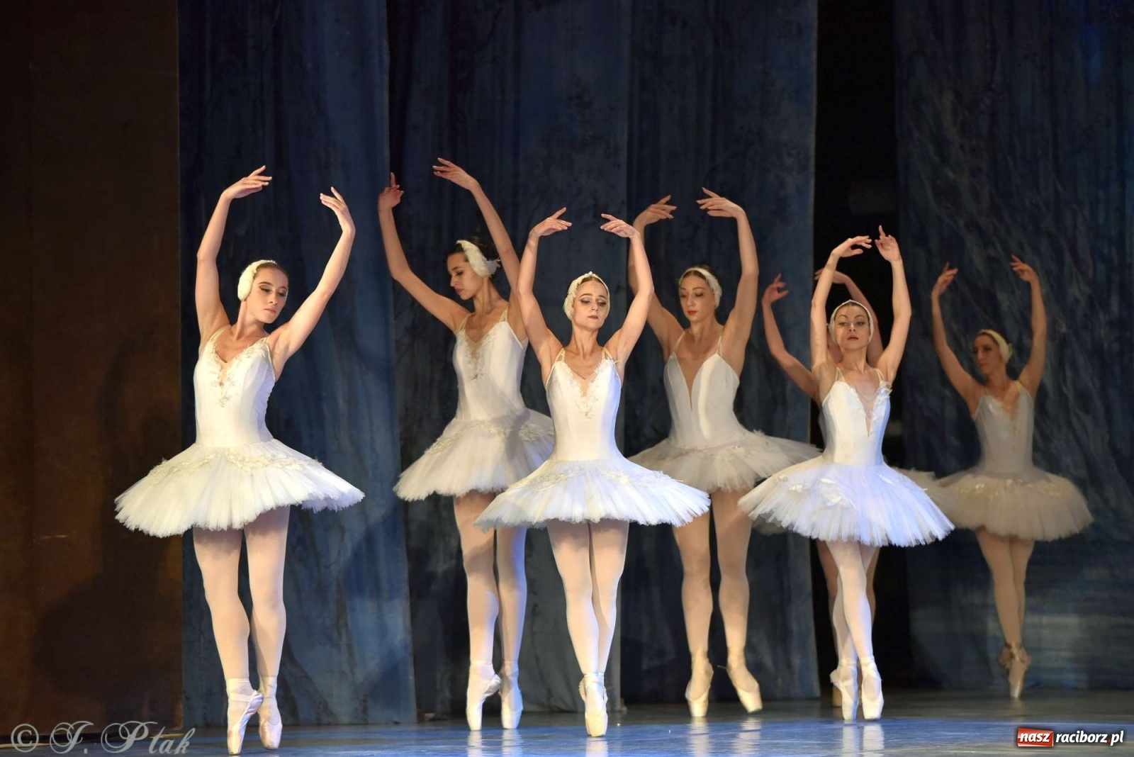 Zdjęcie w galerii na portalu naszraciborz.pl: Jezioro łabędzie. Arcydzieło Czajkowskiego na deskach RCK wiadomości z regionu