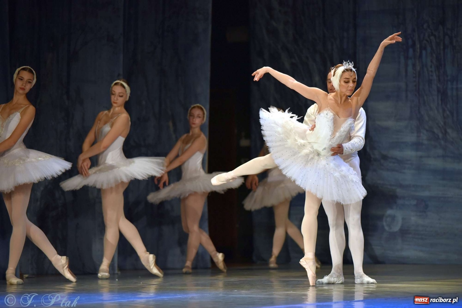 Zdjęcie w galerii na portalu naszraciborz.pl: Jezioro łabędzie. Arcydzieło Czajkowskiego na deskach RCK wiadomości z regionu