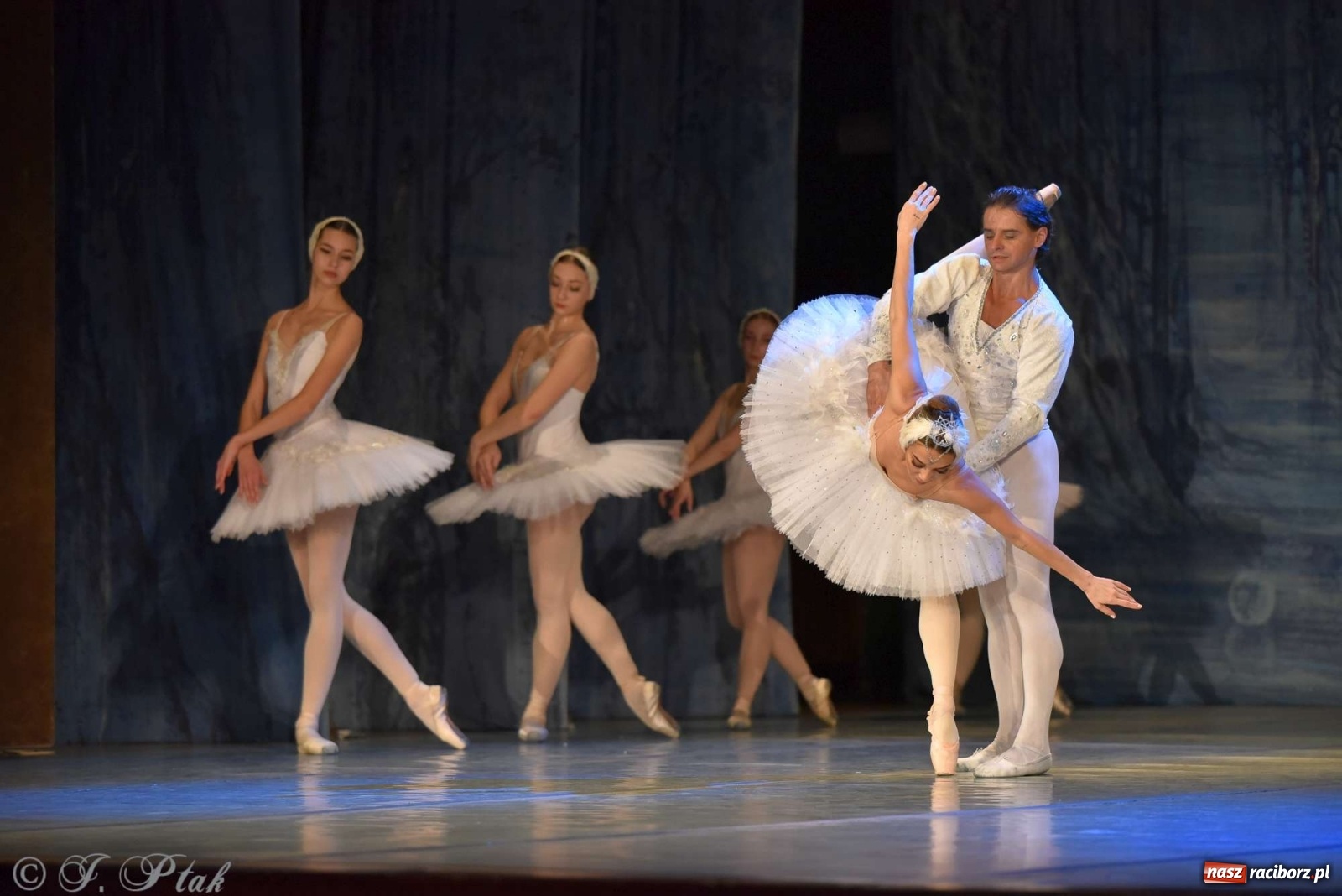 Zdjęcie w galerii na portalu naszraciborz.pl: Jezioro łabędzie. Arcydzieło Czajkowskiego na deskach RCK wiadomości z regionu