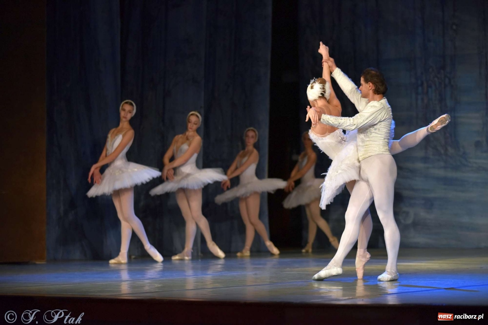 Zdjęcie w galerii na portalu naszraciborz.pl: Jezioro łabędzie. Arcydzieło Czajkowskiego na deskach RCK wiadomości z regionu