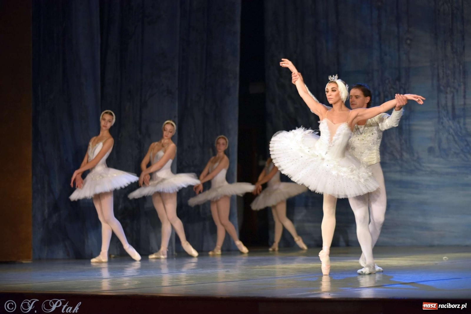 Zdjęcie w galerii na portalu naszraciborz.pl: Jezioro łabędzie. Arcydzieło Czajkowskiego na deskach RCK wiadomości z regionu