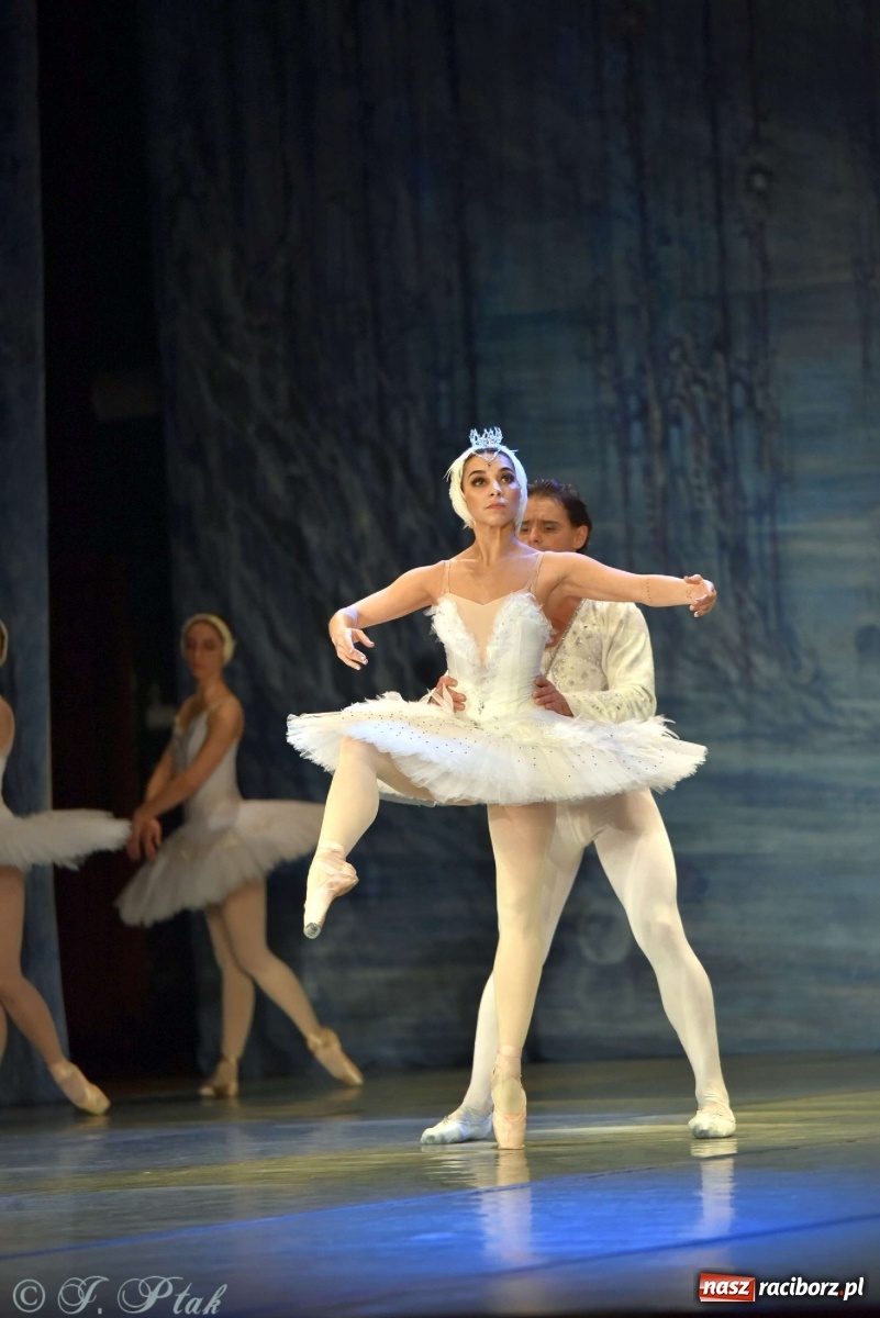 Zdjęcie w galerii na portalu naszraciborz.pl: Jezioro łabędzie. Arcydzieło Czajkowskiego na deskach RCK wiadomości z regionu