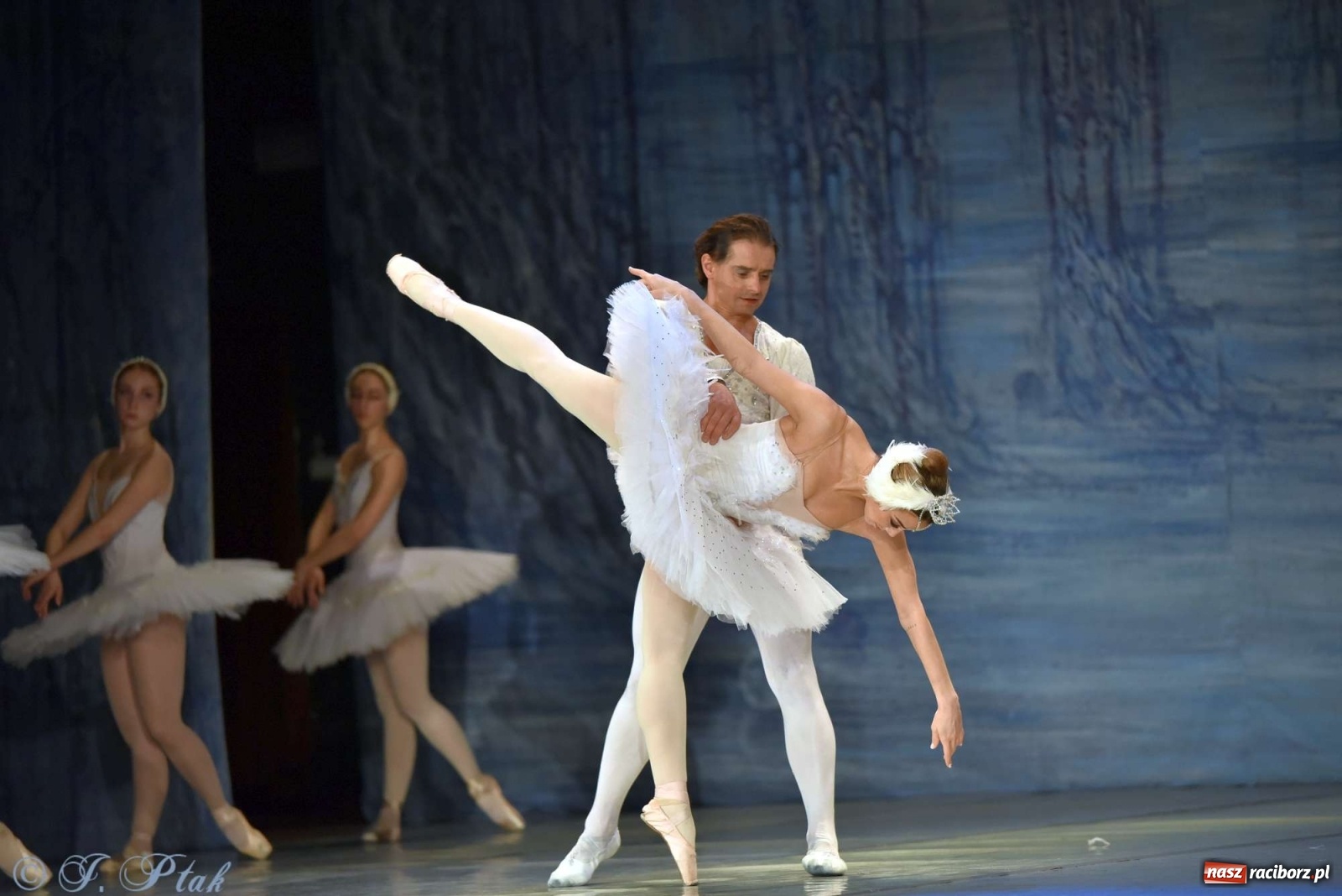 Zdjęcie w galerii na portalu naszraciborz.pl: Jezioro łabędzie. Arcydzieło Czajkowskiego na deskach RCK wiadomości z regionu