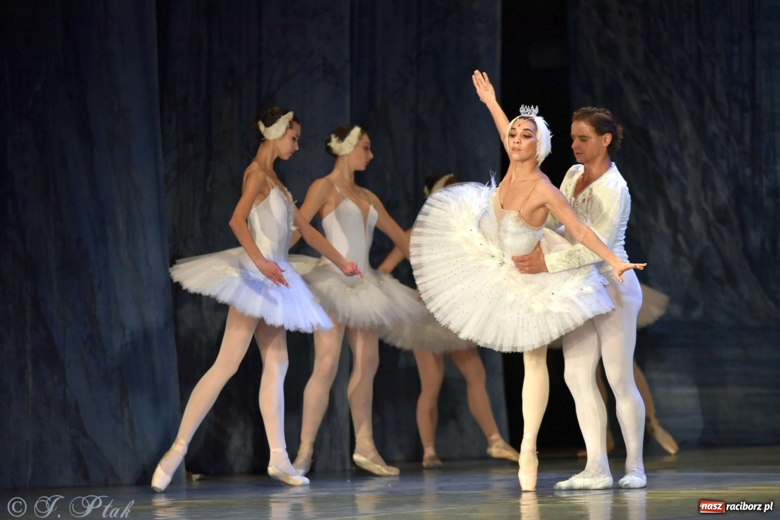 Zdjęcie w galerii na portalu naszraciborz.pl: Jezioro łabędzie. Arcydzieło Czajkowskiego na deskach RCK wiadomości z regionu