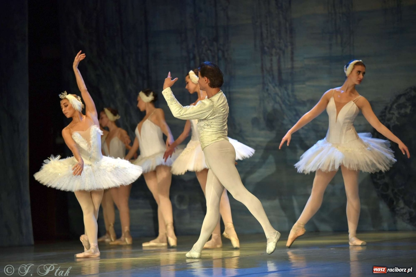 Zdjęcie w galerii na portalu naszraciborz.pl: Jezioro łabędzie. Arcydzieło Czajkowskiego na deskach RCK wiadomości z regionu