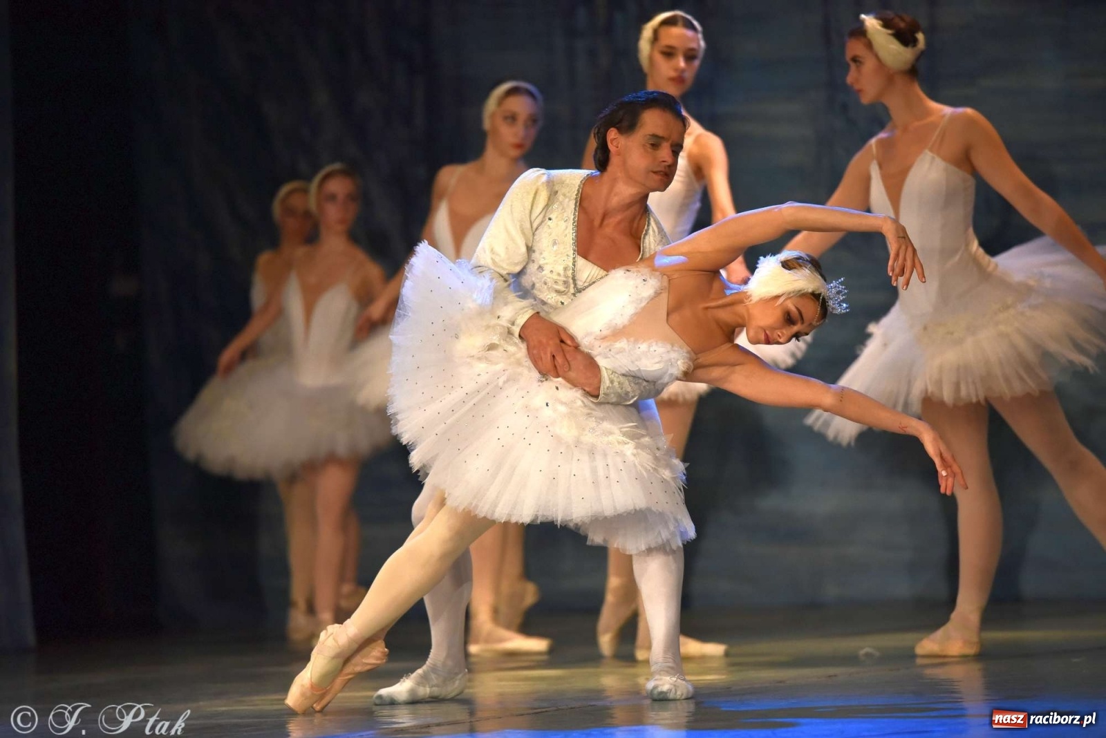 Zdjęcie w galerii na portalu naszraciborz.pl: Jezioro łabędzie. Arcydzieło Czajkowskiego na deskach RCK wiadomości z regionu