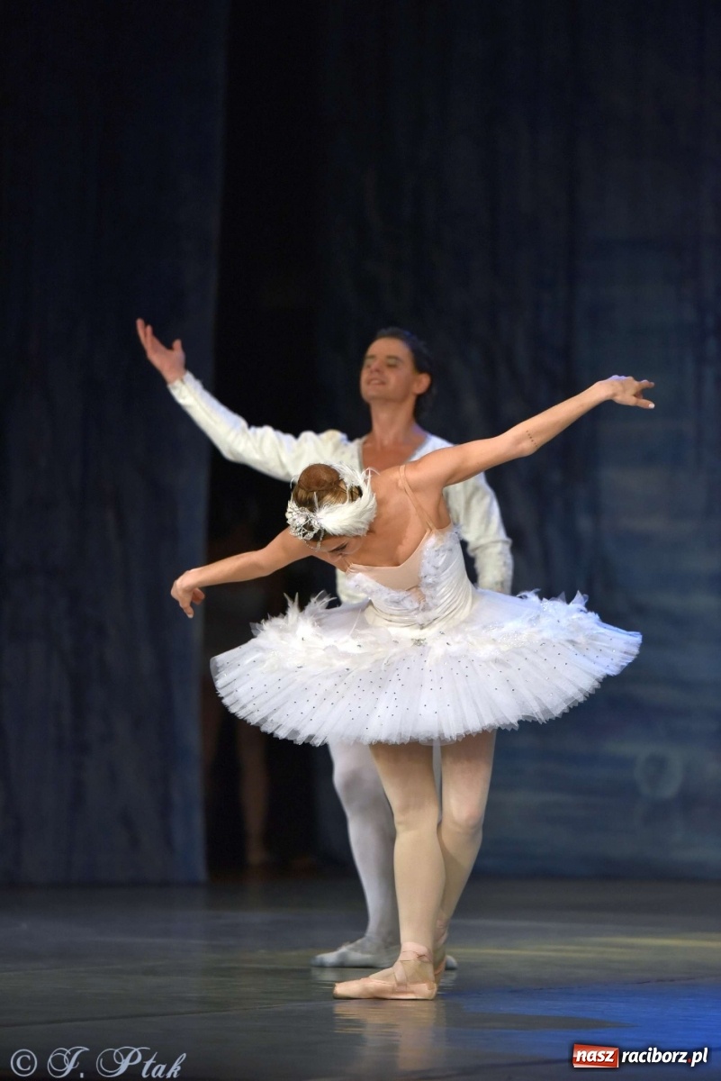 Zdjęcie w galerii na portalu naszraciborz.pl: Jezioro łabędzie. Arcydzieło Czajkowskiego na deskach RCK wiadomości z regionu