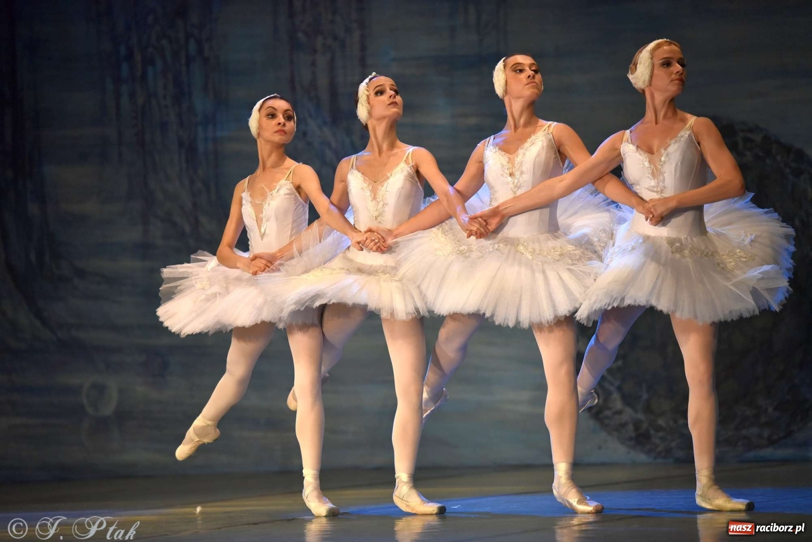 Zdjęcie w galerii na portalu naszraciborz.pl: Jezioro łabędzie. Arcydzieło Czajkowskiego na deskach RCK wiadomości z regionu