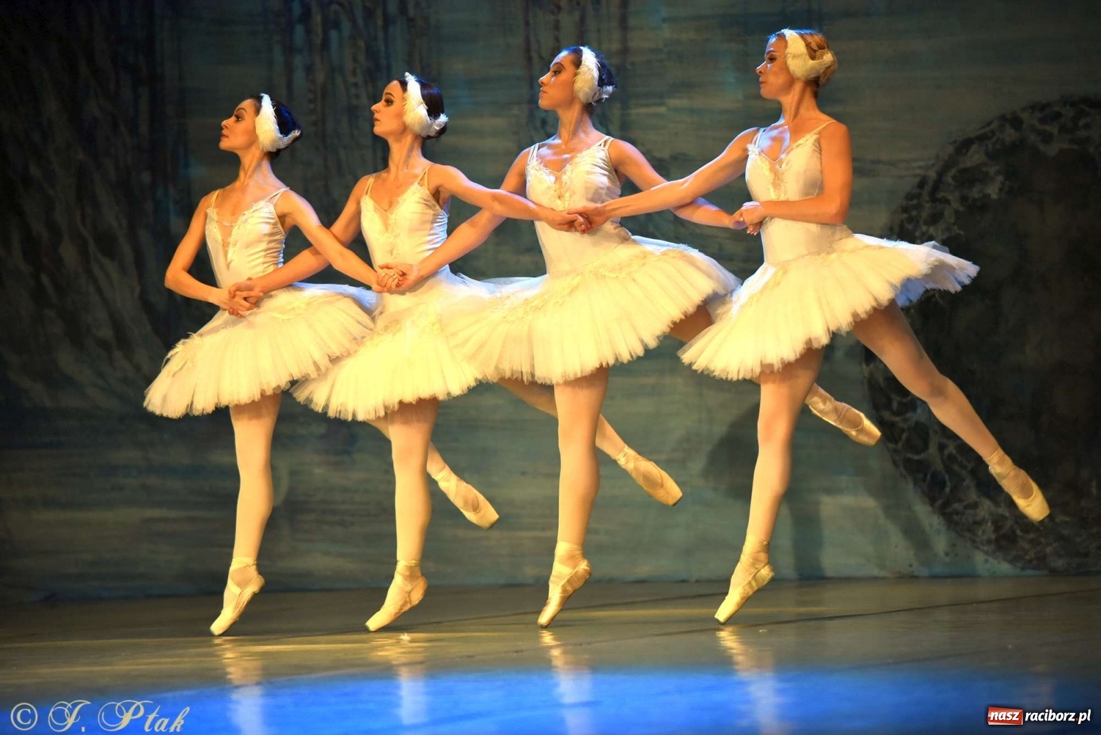 Zdjęcie w galerii na portalu naszraciborz.pl: Jezioro łabędzie. Arcydzieło Czajkowskiego na deskach RCK wiadomości z regionu