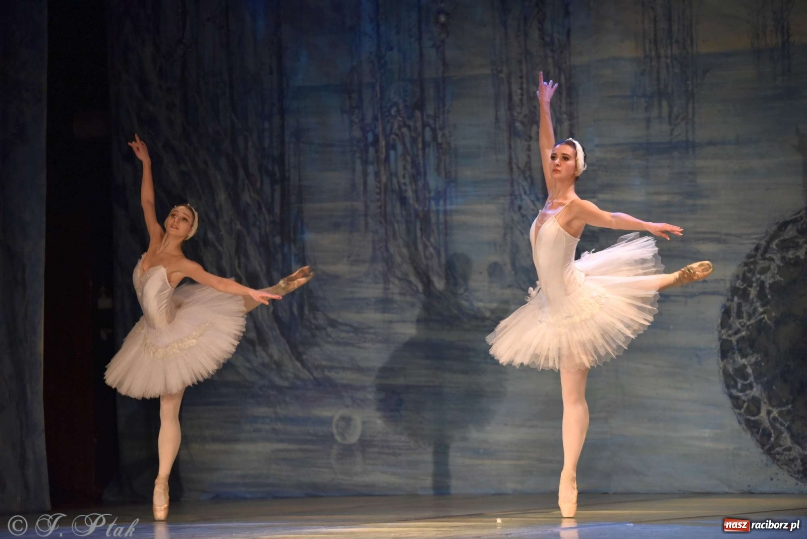 Zdjęcie w galerii na portalu naszraciborz.pl: Jezioro łabędzie. Arcydzieło Czajkowskiego na deskach RCK wiadomości z regionu