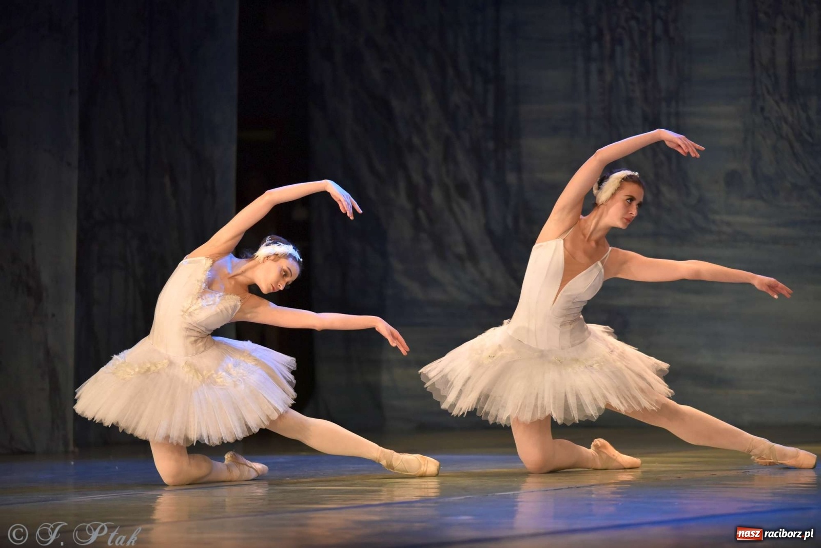 Zdjęcie w galerii na portalu naszraciborz.pl: Jezioro łabędzie. Arcydzieło Czajkowskiego na deskach RCK wiadomości z regionu