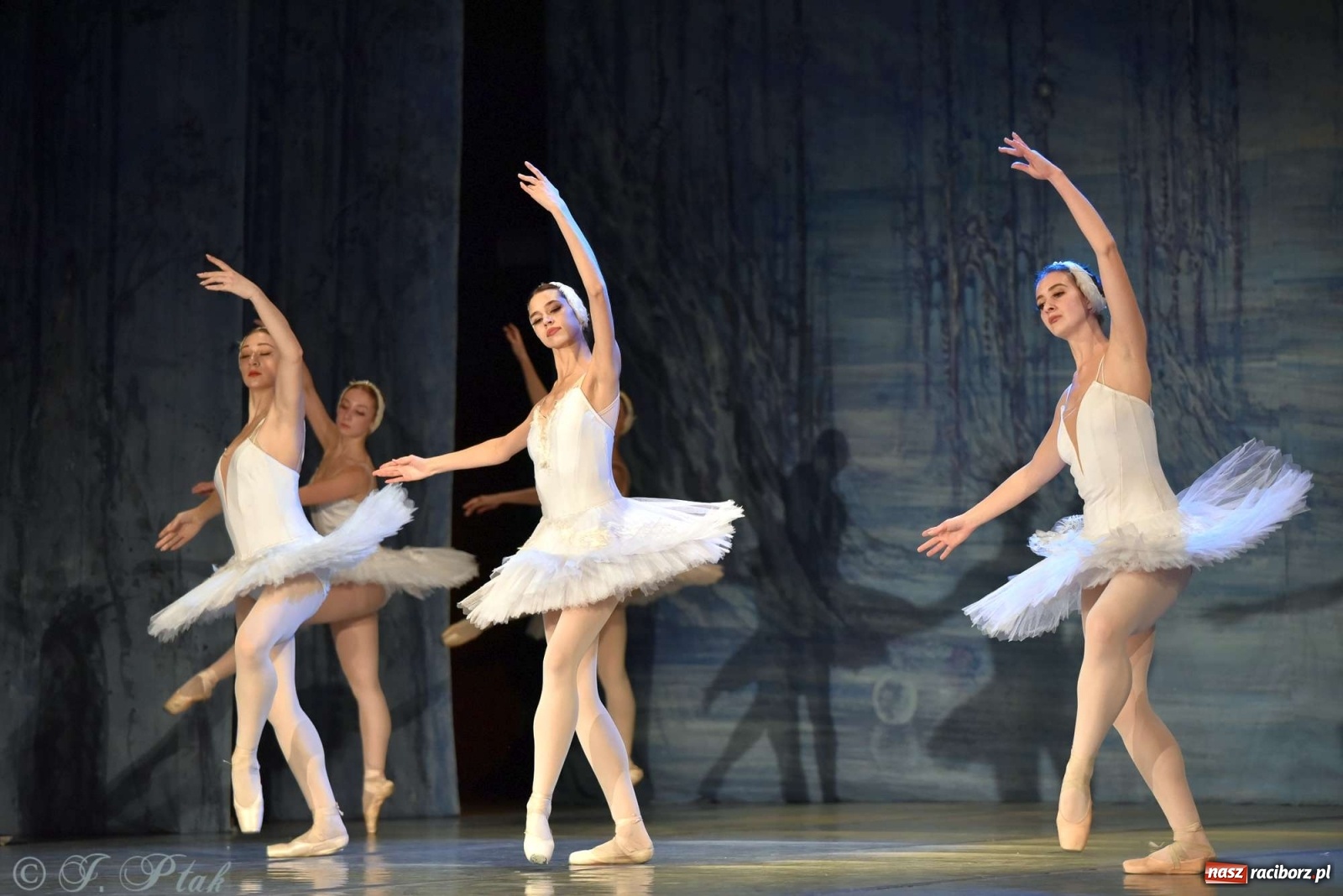 Zdjęcie w galerii na portalu naszraciborz.pl: Jezioro łabędzie. Arcydzieło Czajkowskiego na deskach RCK wiadomości z regionu