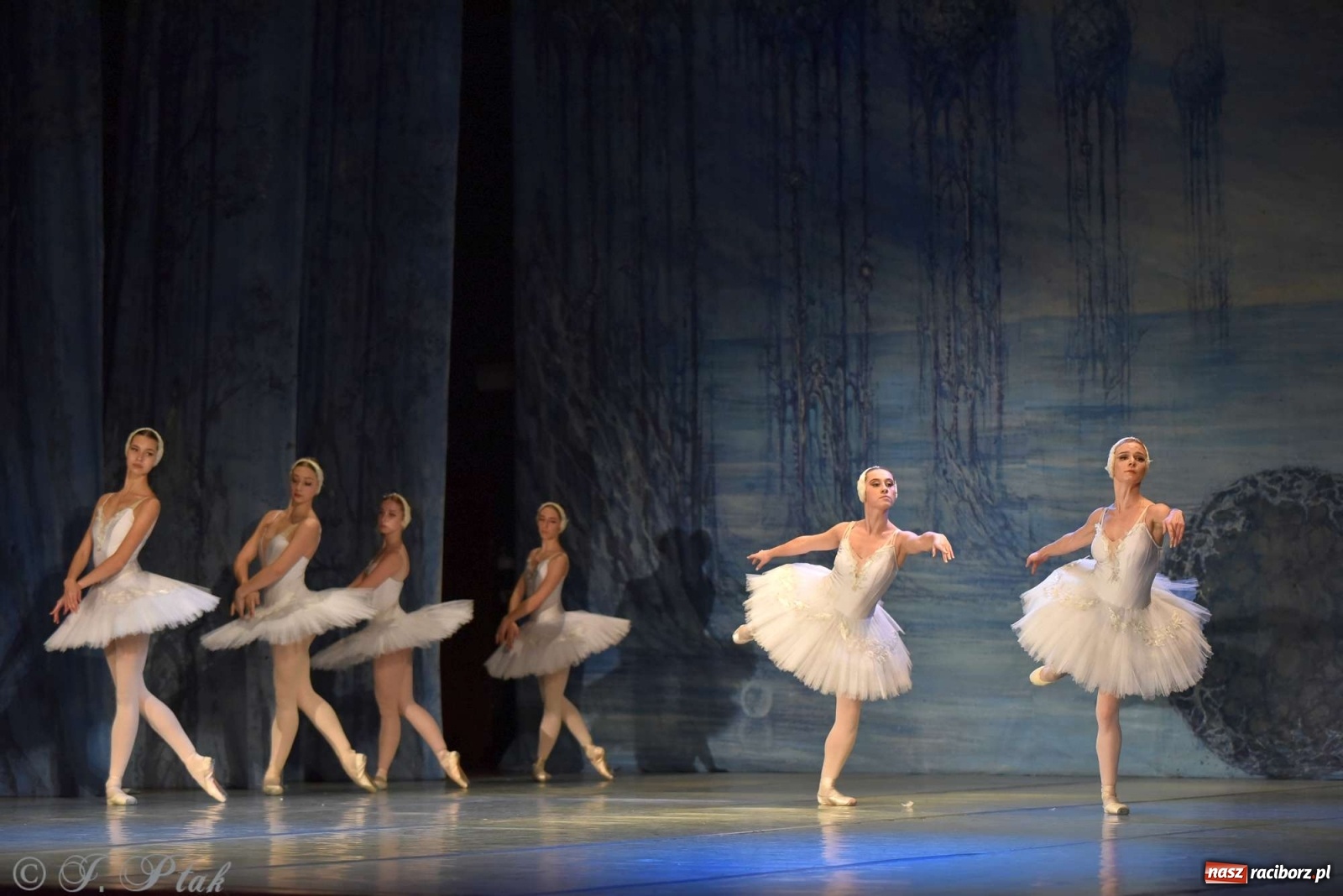 Zdjęcie w galerii na portalu naszraciborz.pl: Jezioro łabędzie. Arcydzieło Czajkowskiego na deskach RCK wiadomości z regionu