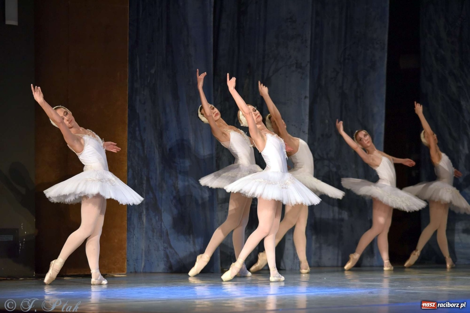 Zdjęcie w galerii na portalu naszraciborz.pl: Jezioro łabędzie. Arcydzieło Czajkowskiego na deskach RCK wiadomości z regionu