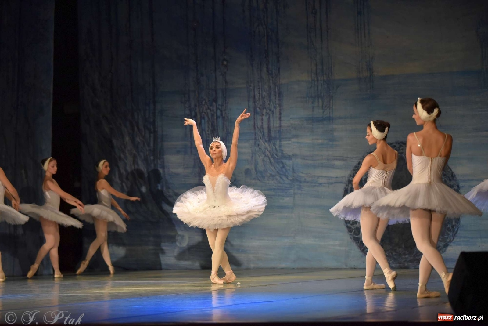 Zdjęcie w galerii na portalu naszraciborz.pl: Jezioro łabędzie. Arcydzieło Czajkowskiego na deskach RCK wiadomości z regionu