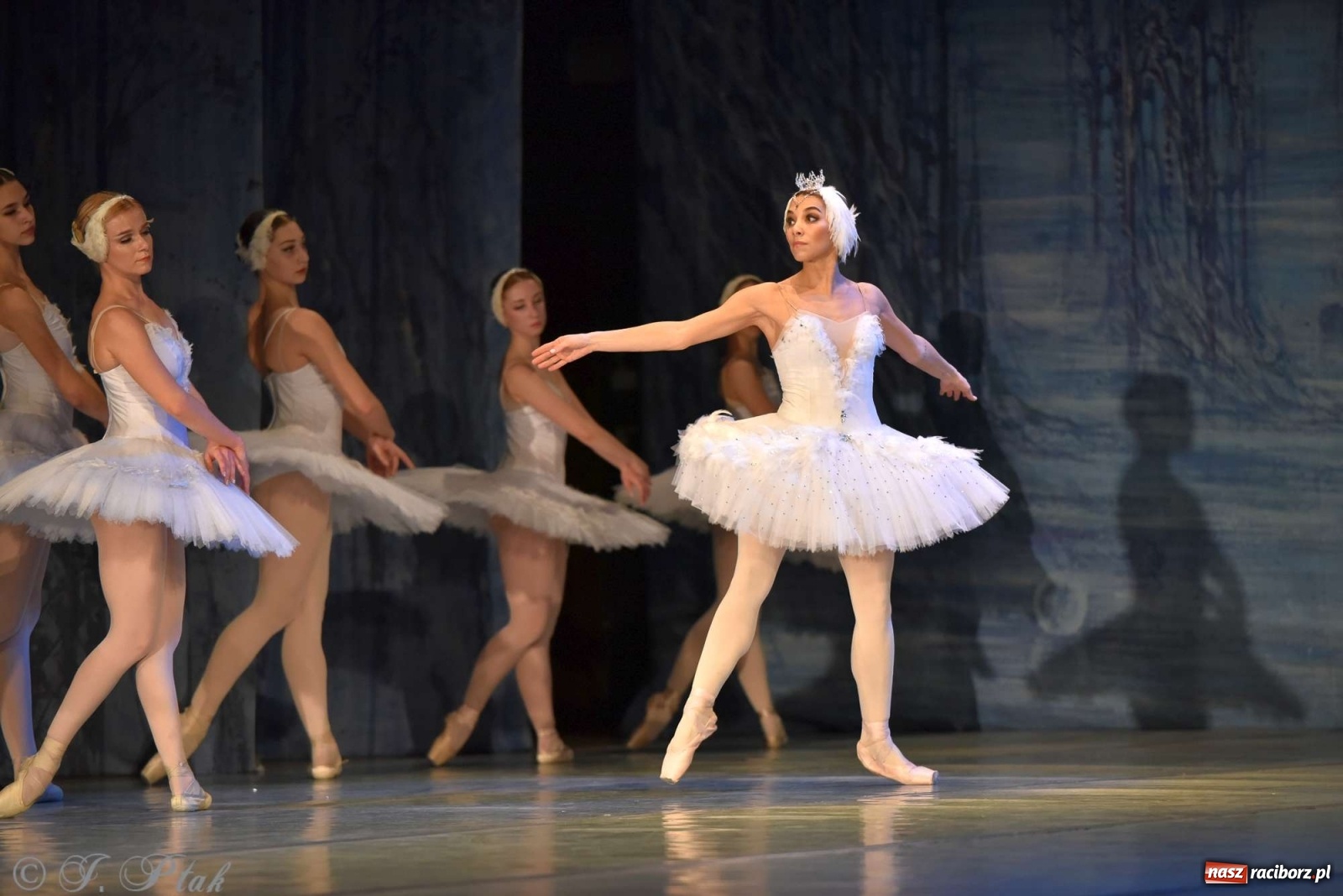 Zdjęcie w galerii na portalu naszraciborz.pl: Jezioro łabędzie. Arcydzieło Czajkowskiego na deskach RCK wiadomości z regionu