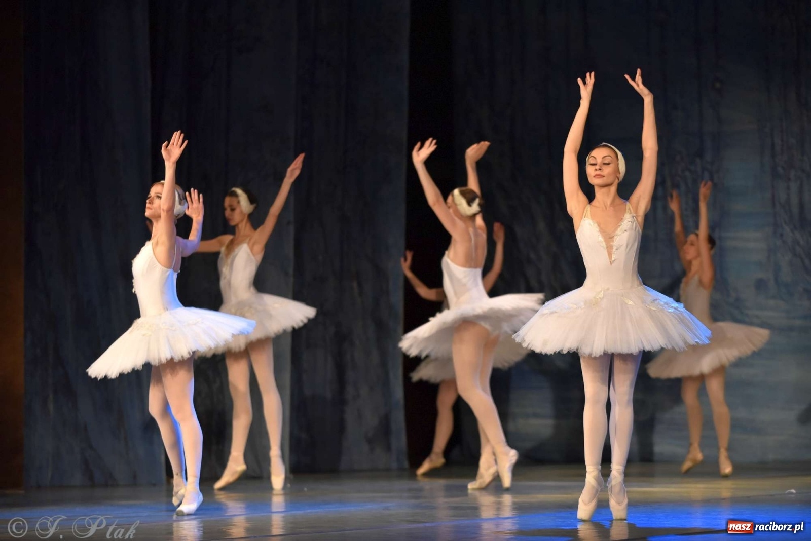 Zdjęcie w galerii na portalu naszraciborz.pl: Jezioro łabędzie. Arcydzieło Czajkowskiego na deskach RCK wiadomości z regionu