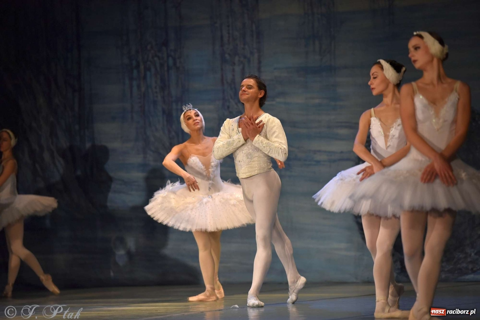 Zdjęcie w galerii na portalu naszraciborz.pl: Jezioro łabędzie. Arcydzieło Czajkowskiego na deskach RCK wiadomości z regionu