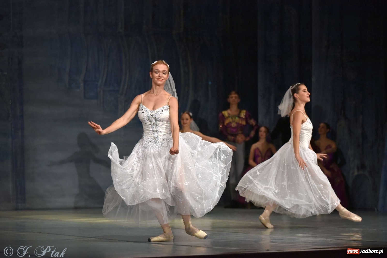 Zdjęcie w galerii na portalu naszraciborz.pl: Jezioro łabędzie. Arcydzieło Czajkowskiego na deskach RCK wiadomości z regionu