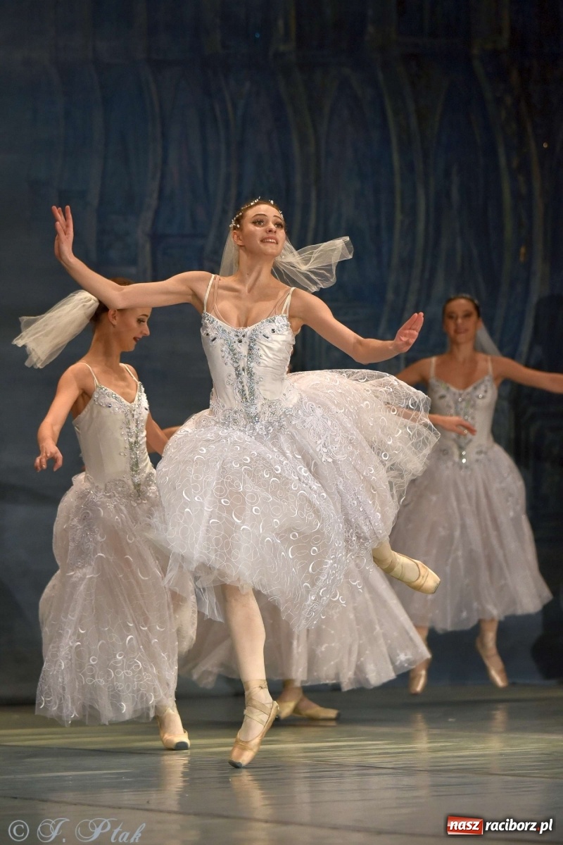 Zdjęcie w galerii na portalu naszraciborz.pl: Jezioro łabędzie. Arcydzieło Czajkowskiego na deskach RCK wiadomości z regionu