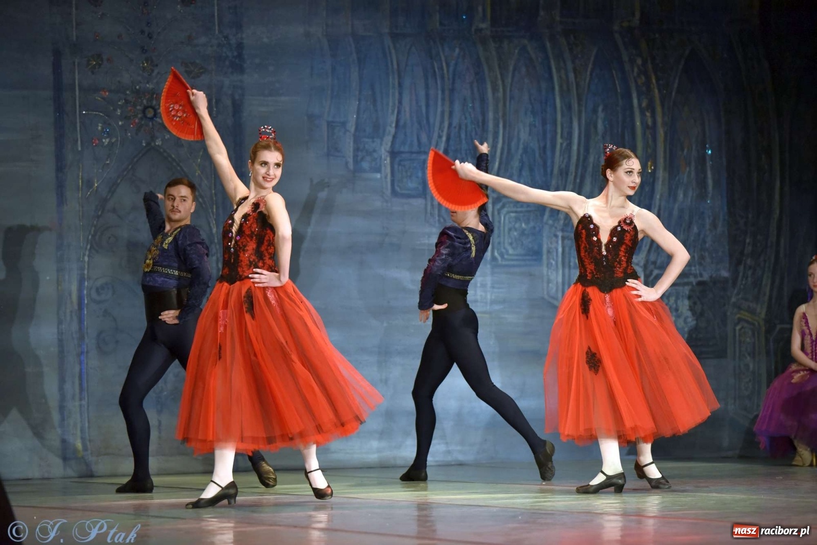 Zdjęcie w galerii na portalu naszraciborz.pl: Jezioro łabędzie. Arcydzieło Czajkowskiego na deskach RCK wiadomości z regionu