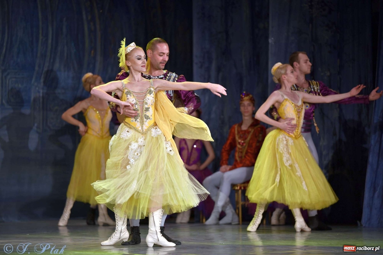 Zdjęcie w galerii na portalu naszraciborz.pl: Jezioro łabędzie. Arcydzieło Czajkowskiego na deskach RCK wiadomości z regionu