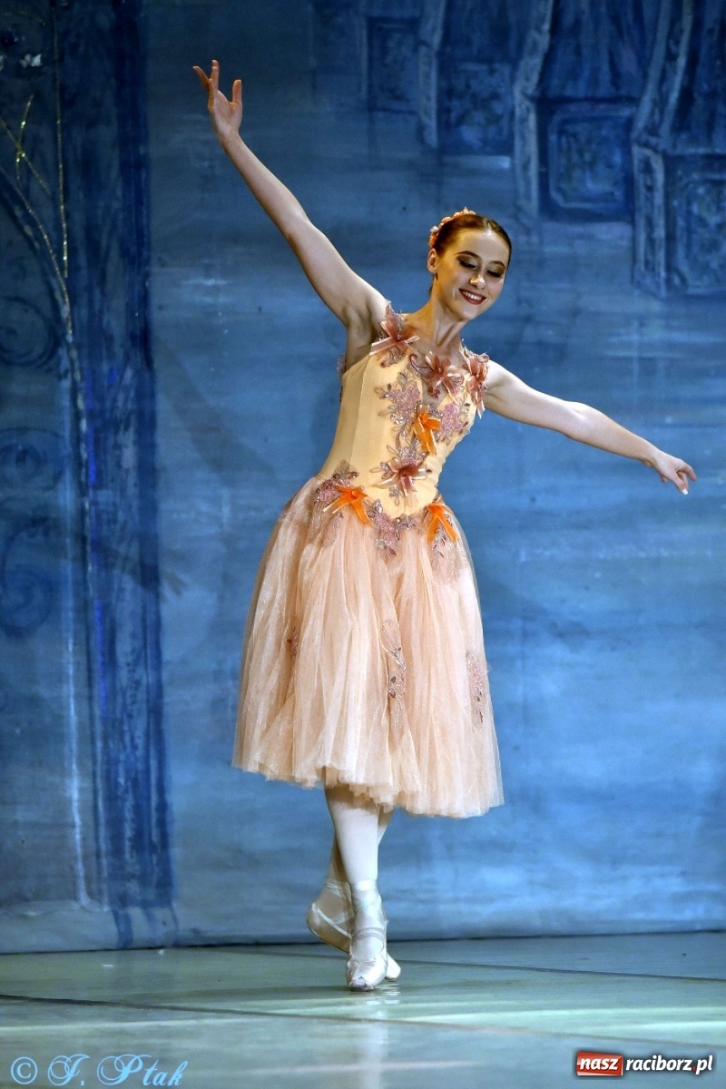 Zdjęcie w galerii na portalu naszraciborz.pl: Jezioro łabędzie. Arcydzieło Czajkowskiego na deskach RCK wiadomości z regionu