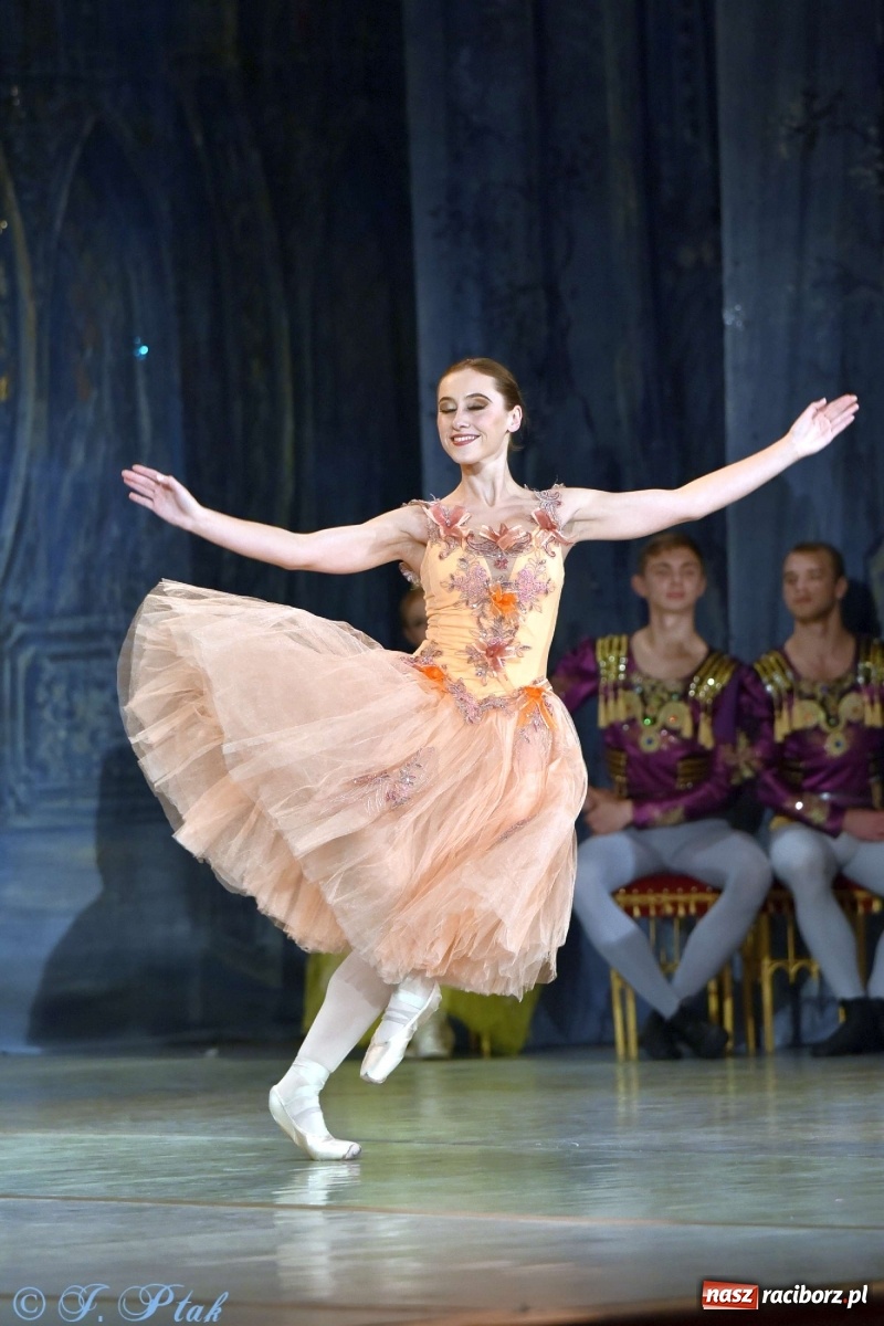 Zdjęcie w galerii na portalu naszraciborz.pl: Jezioro łabędzie. Arcydzieło Czajkowskiego na deskach RCK wiadomości z regionu