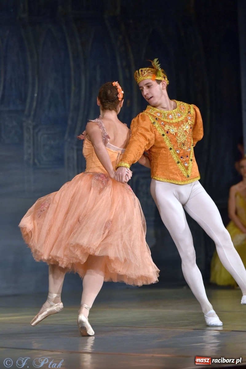 Zdjęcie w galerii na portalu naszraciborz.pl: Jezioro łabędzie. Arcydzieło Czajkowskiego na deskach RCK wiadomości z regionu