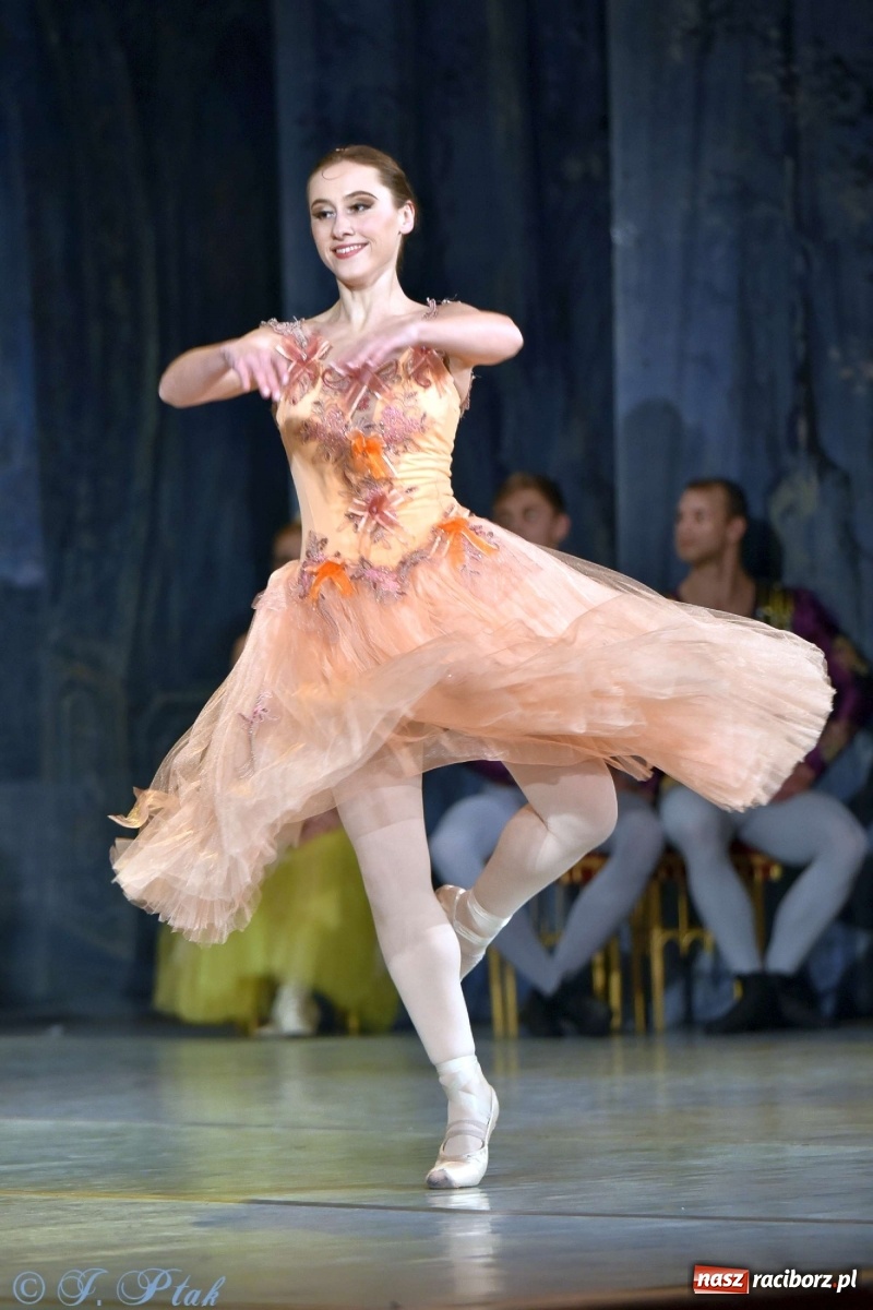 Zdjęcie w galerii na portalu naszraciborz.pl: Jezioro łabędzie. Arcydzieło Czajkowskiego na deskach RCK wiadomości z regionu