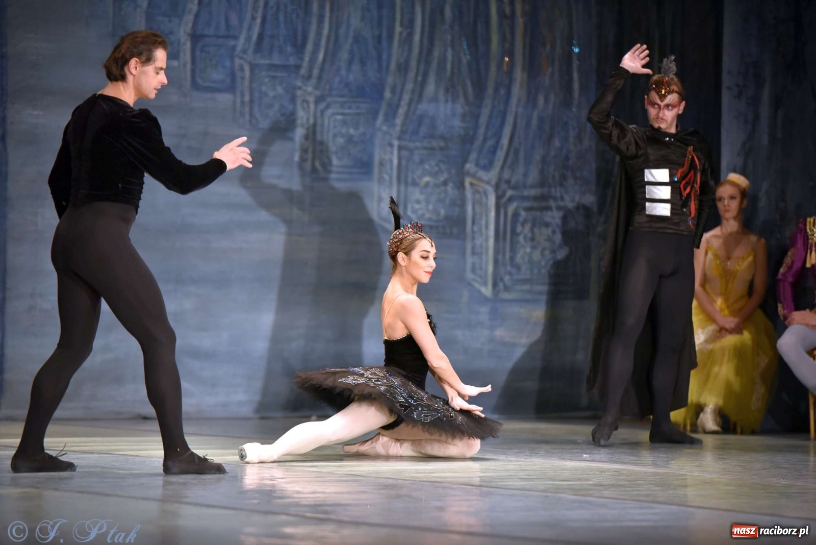 Zdjęcie w galerii na portalu naszraciborz.pl: Jezioro łabędzie. Arcydzieło Czajkowskiego na deskach RCK wiadomości z regionu